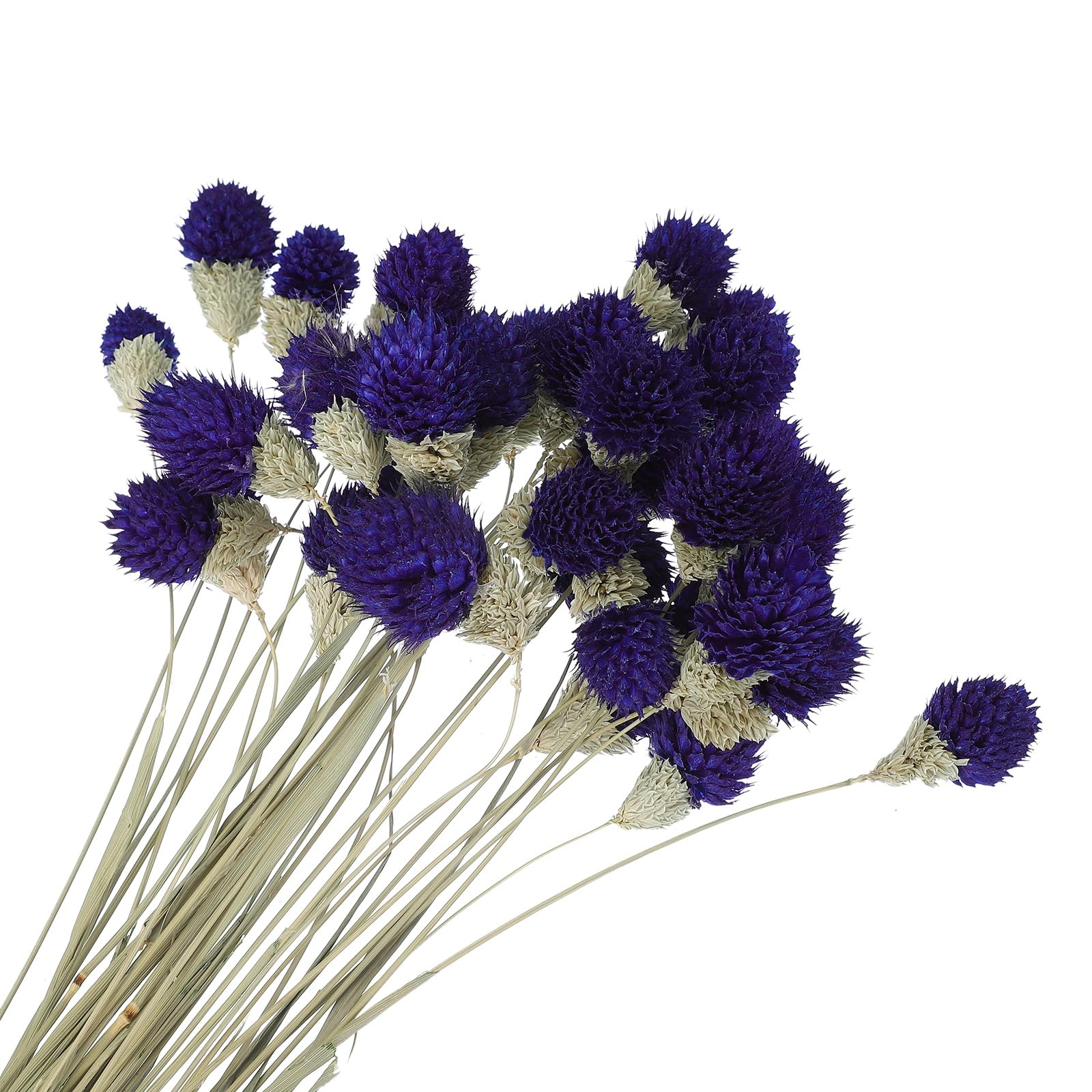 Mini Boules de Pin Violettes PATIKIL de 40cm pour Bouquet DIY durable