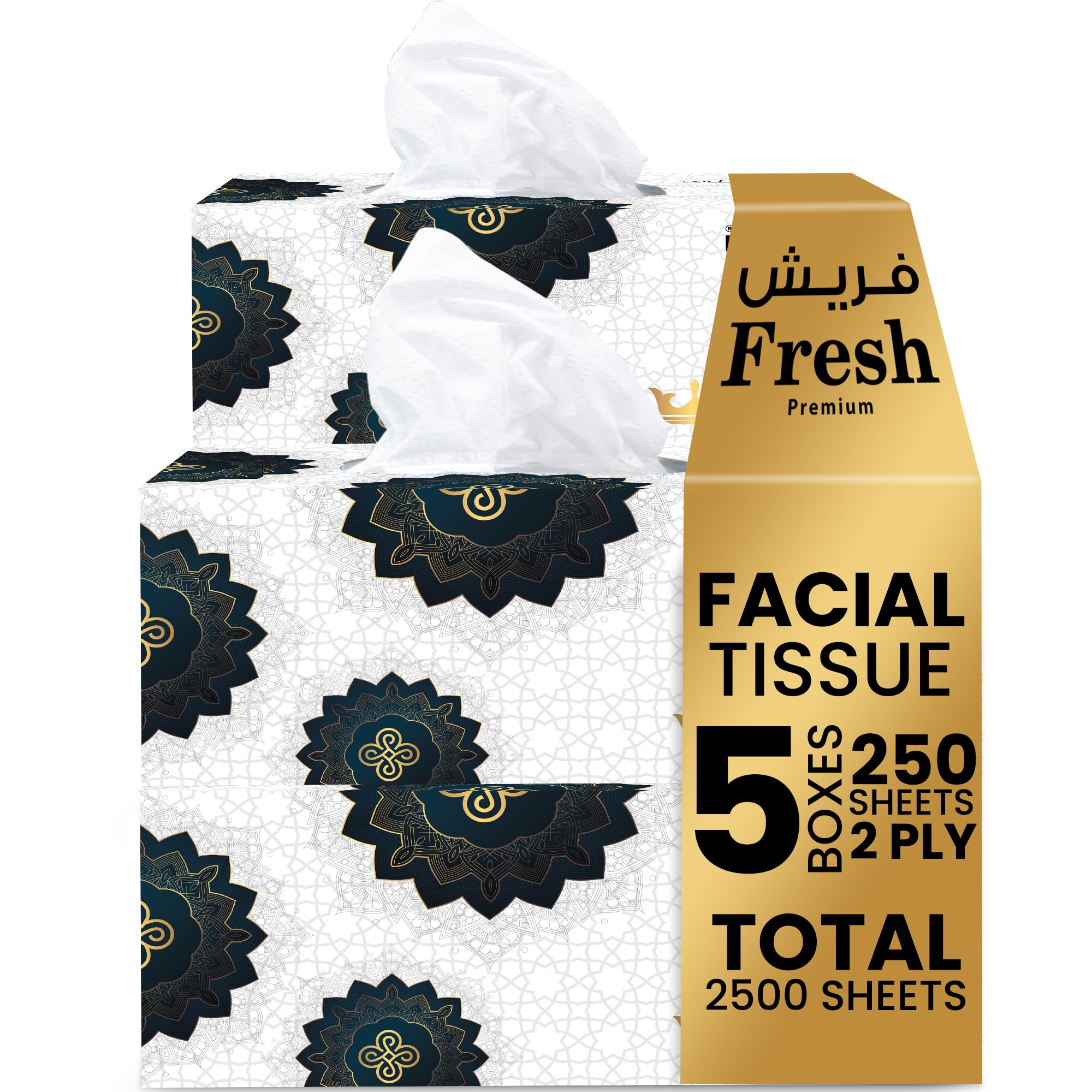 Packing Fresh Facial Tissue (500x2) Ply Premium Tissue, Ultra Soft, Comfort, Daily Care, White Tissue - Pack Of 5