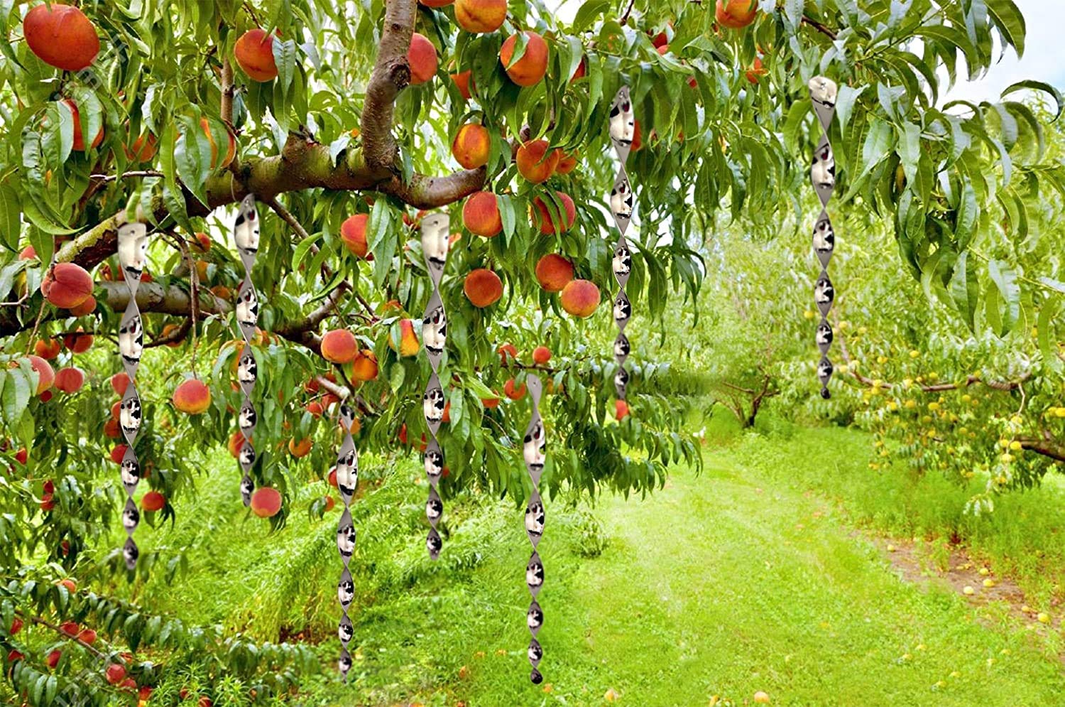 Abiyou 20PCS Répulsifs Réfléchissants Spirale Pour Oiseaux - Effaroucheur Rotatif Argent, Protection Jardin Et Potager