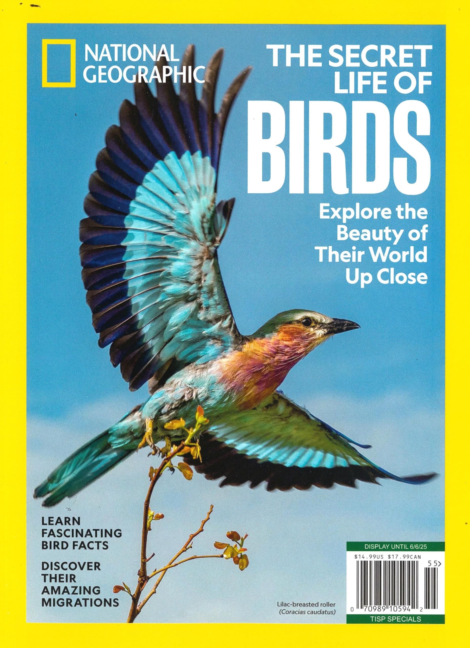 National Geographic Special Edition 2025: Discover The Secret Life of Birds