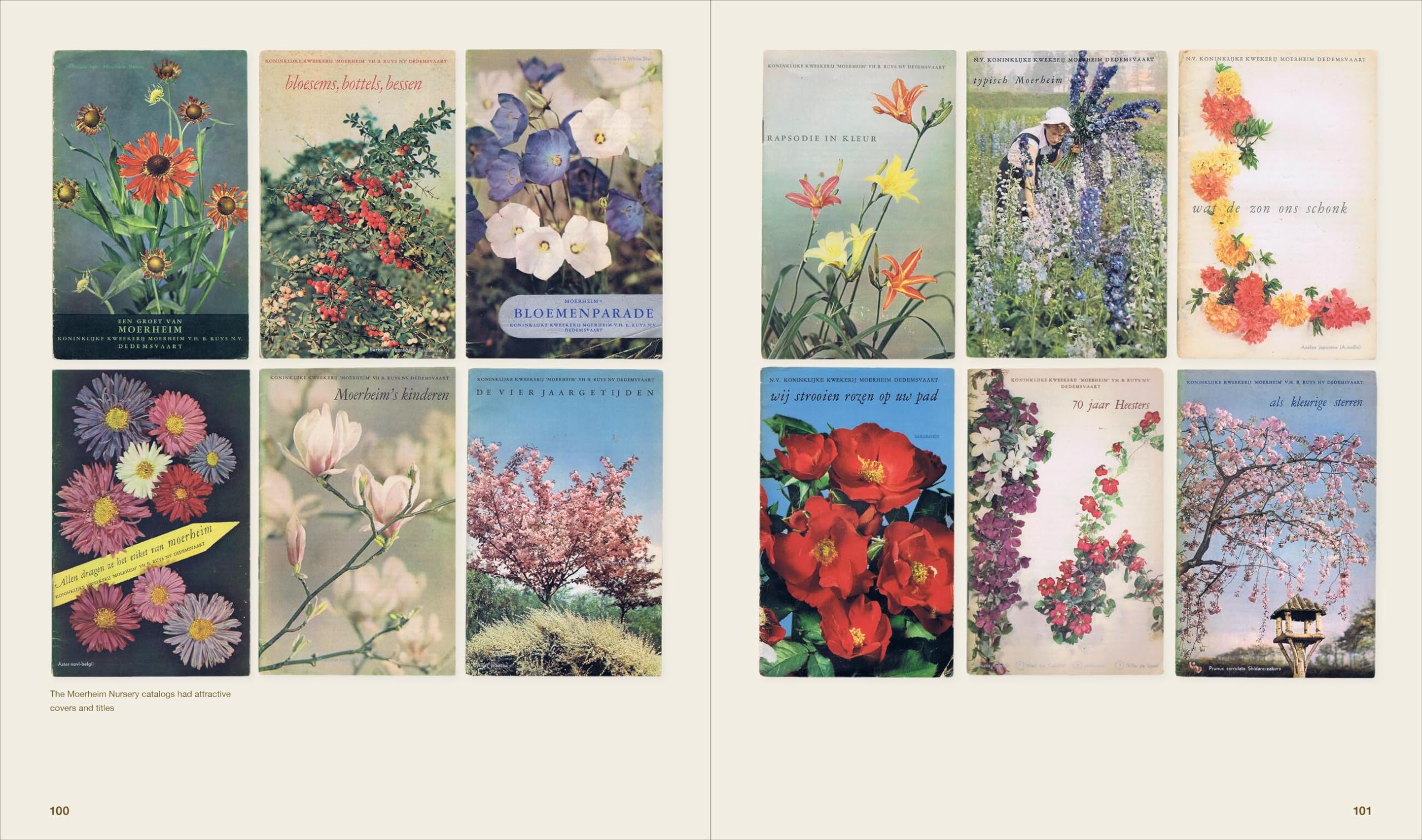 The Gardens of Mien Ruys: Strong Design, Lush Planting, and the Origins of the Modernist Garden