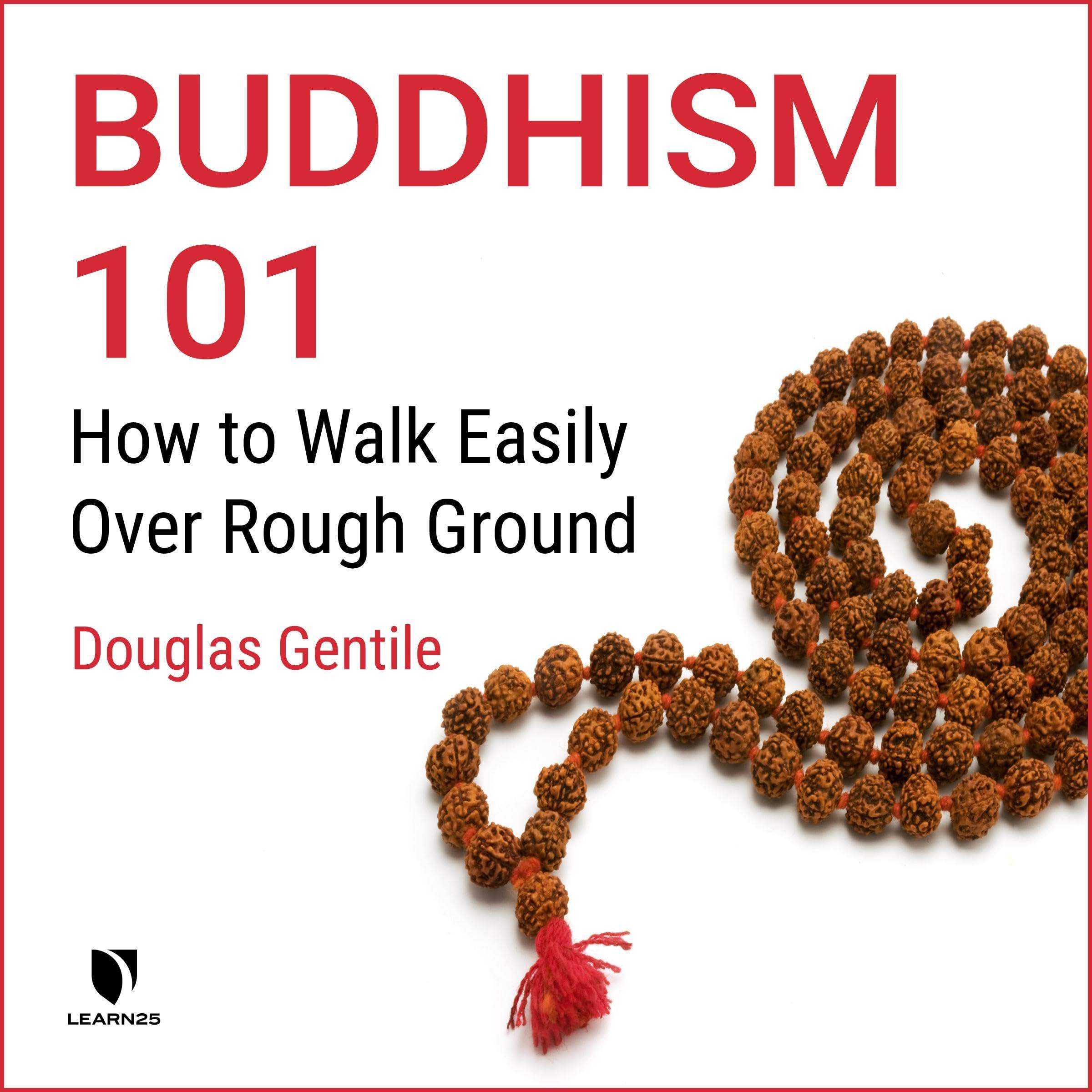 Buddhism 101: How to Walk Easily over Rough Ground