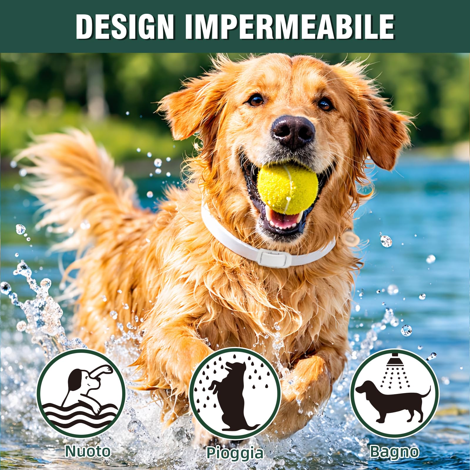 Collare Antiparassitario per Cani 65cm con Oli Essenziali di Citronella e Lavanda, Collare Antipulci Cane Naturale contro Pulci e Zecche, Adatto per Cani di Media e Grande Taglia - 3