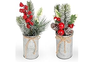 Omldggr Christmas Plant with Red Berries and Pine Cones