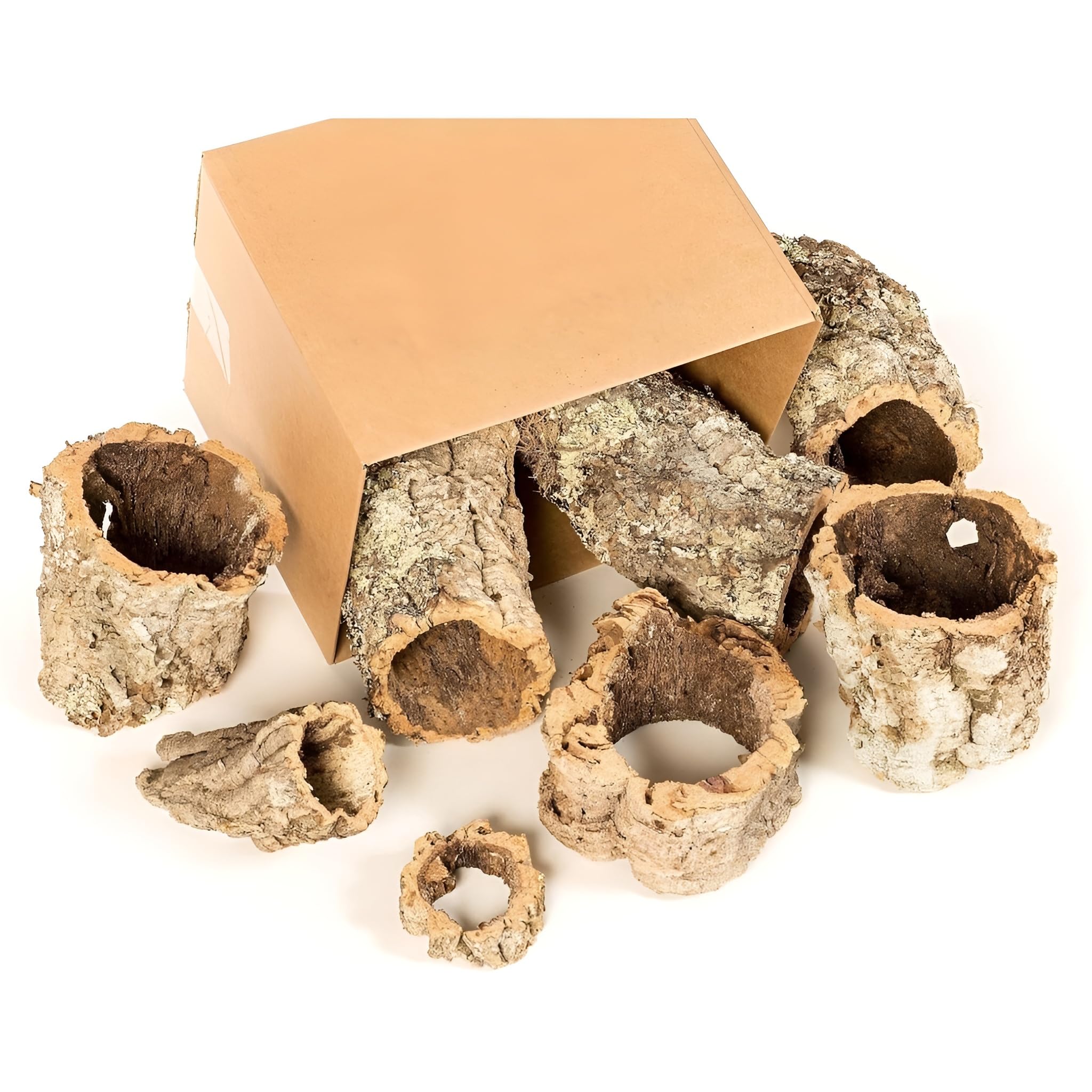 Cork Bark Tubes Mixed 10kg - Cork Bark for Reptiles, Terrariums & Vivarium Decoration