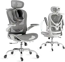 Cadeira Escritorio com Travesseiro para Pescoço e Encosto de Cabeça 3D, Cadeira Ergonomica com Cabide e Rodas de Borracha, Cadeira Presidente com Suporte Lombar 2D e Braços Rebatíveis,Cinza