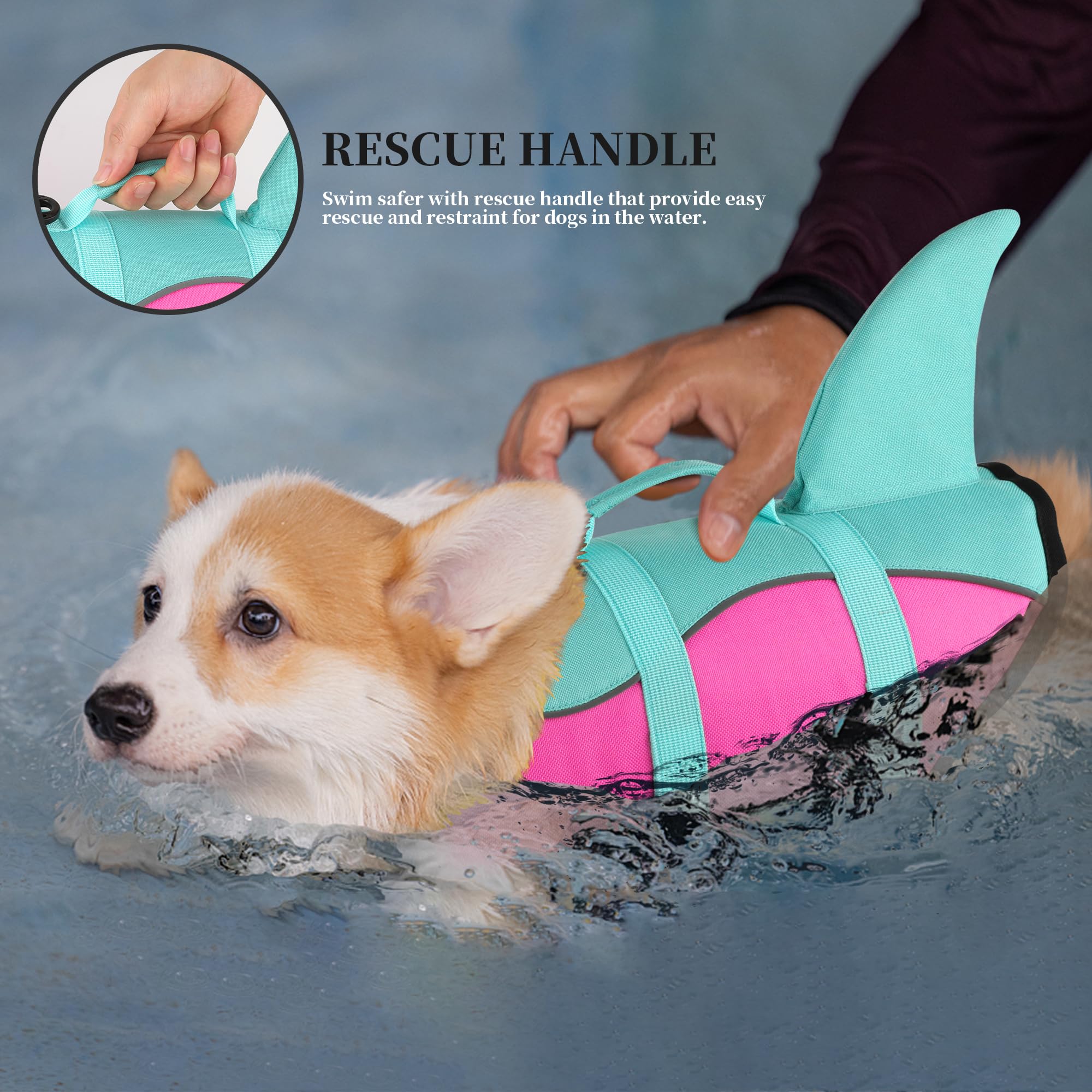 Dogcheer Gilet de sauvetage réglable pour chien, motif requin mignon pour la natation, le bateau avec flottabilité supérieure et poignée de sauvetage, gilet de flottaison réglable pour chiot, chiens