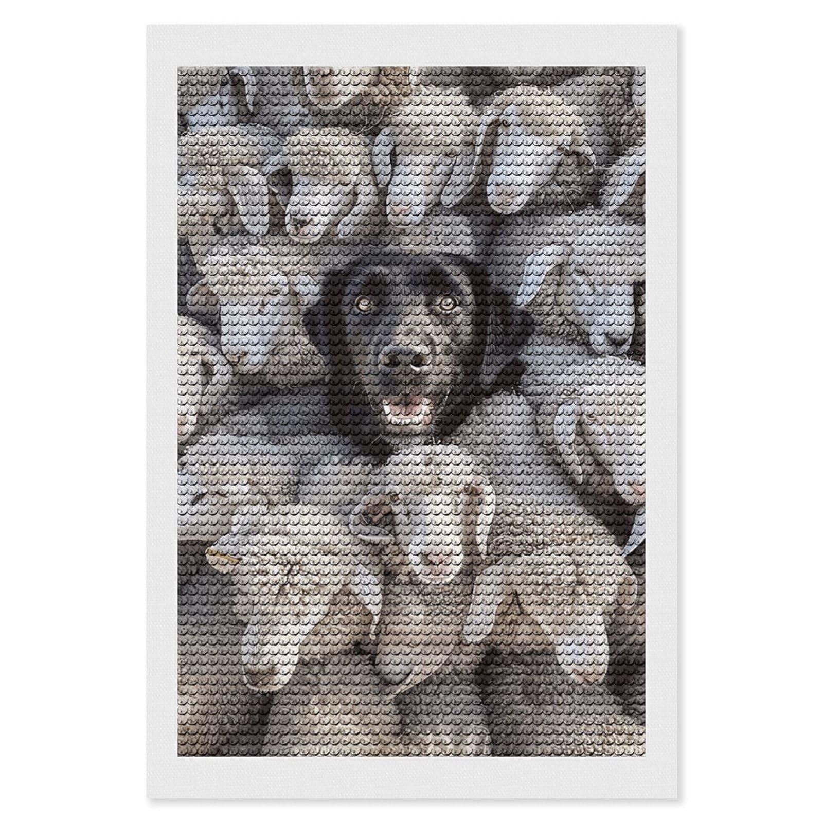 NONHAI Diamond Painting Kits for Adults - DIY Diamond Art Kits for Beginners - Full 5D Paint Drill Diamond Dots Paintings- Sheep and Dogs Diamonds Pictures Gem Art and Craft Wall Decor 8"x12"