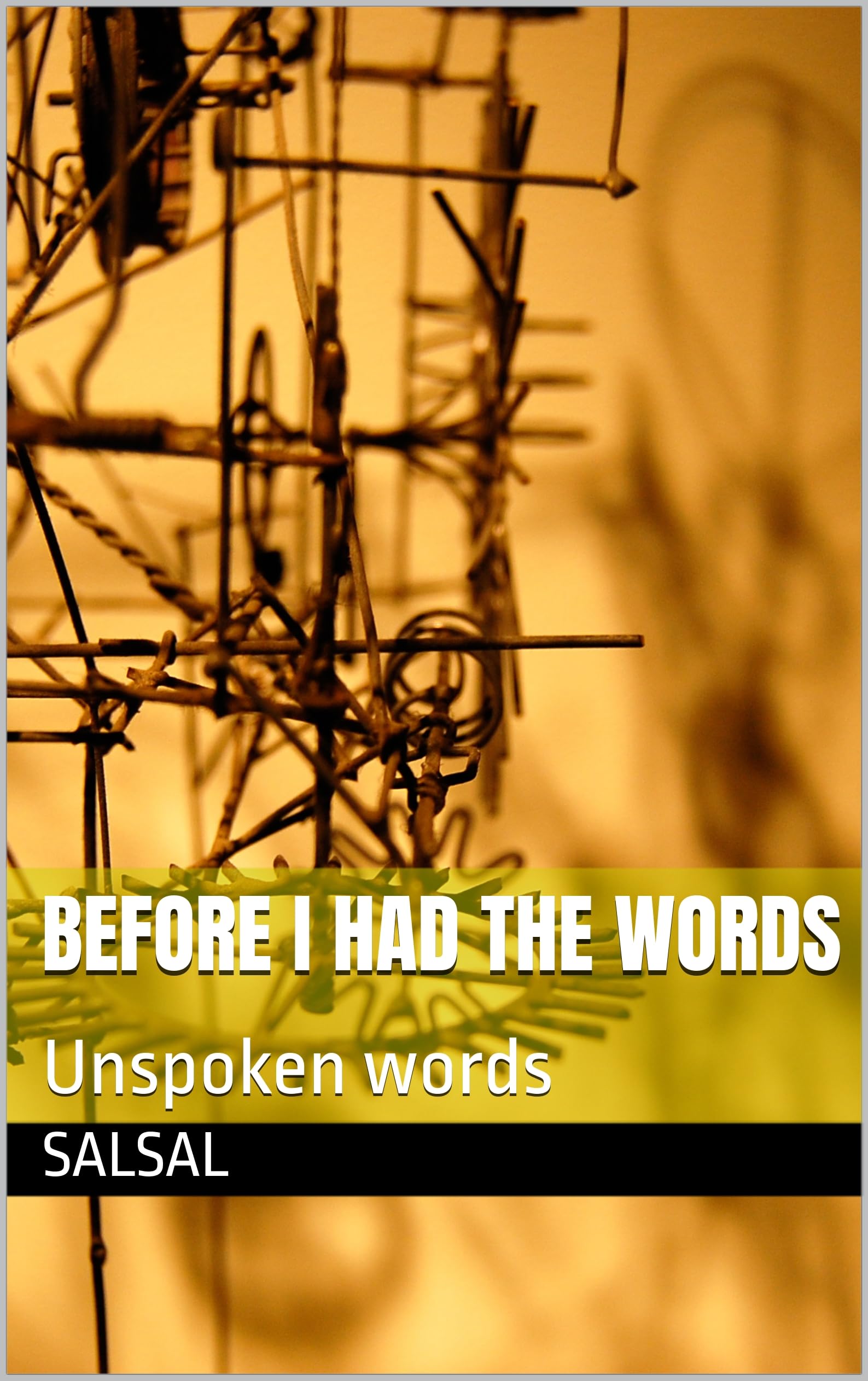 Before I had the words : Unspoken words (English Edition)