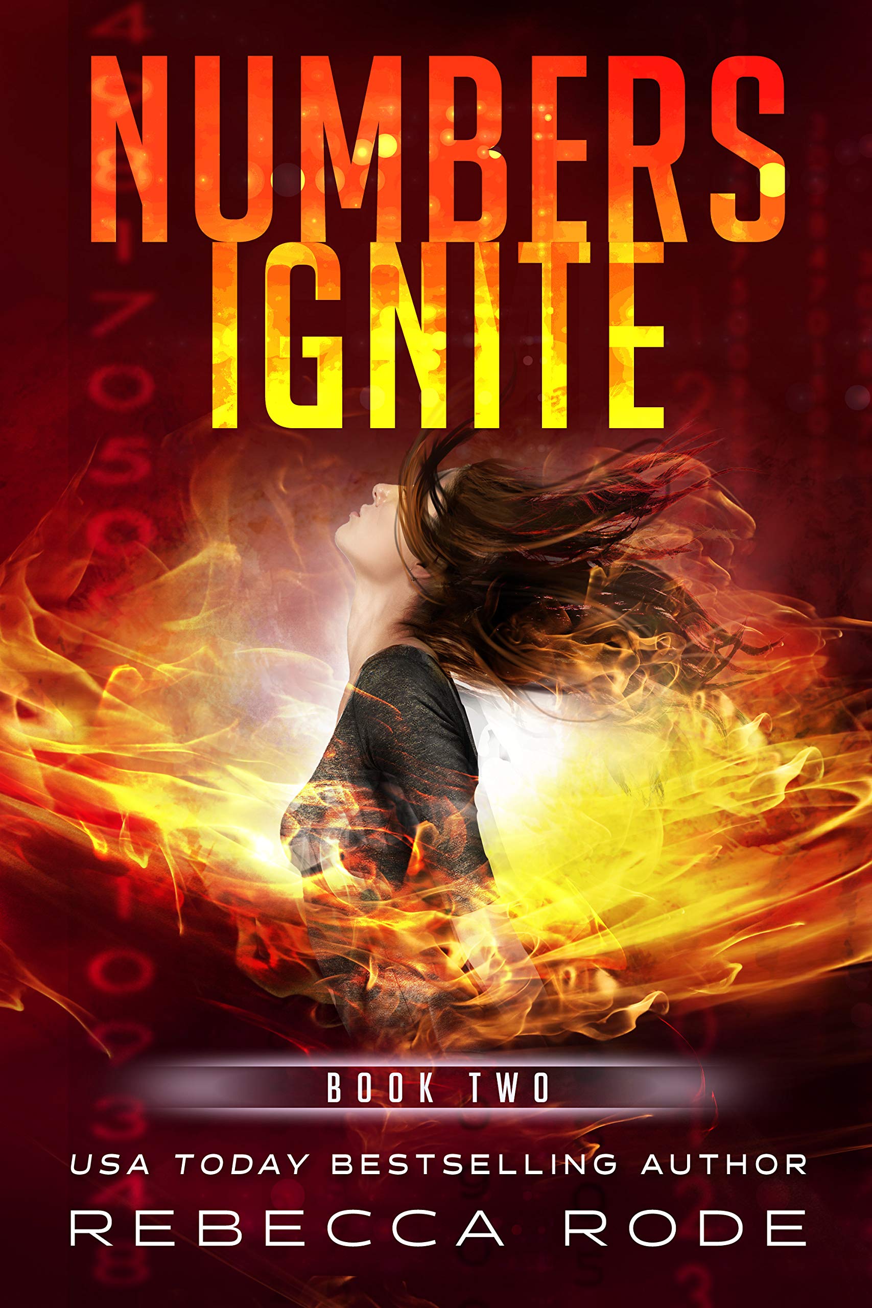 Numbers Ignite: A YA Dystopian Romance (Numbers Game Saga Book 2)