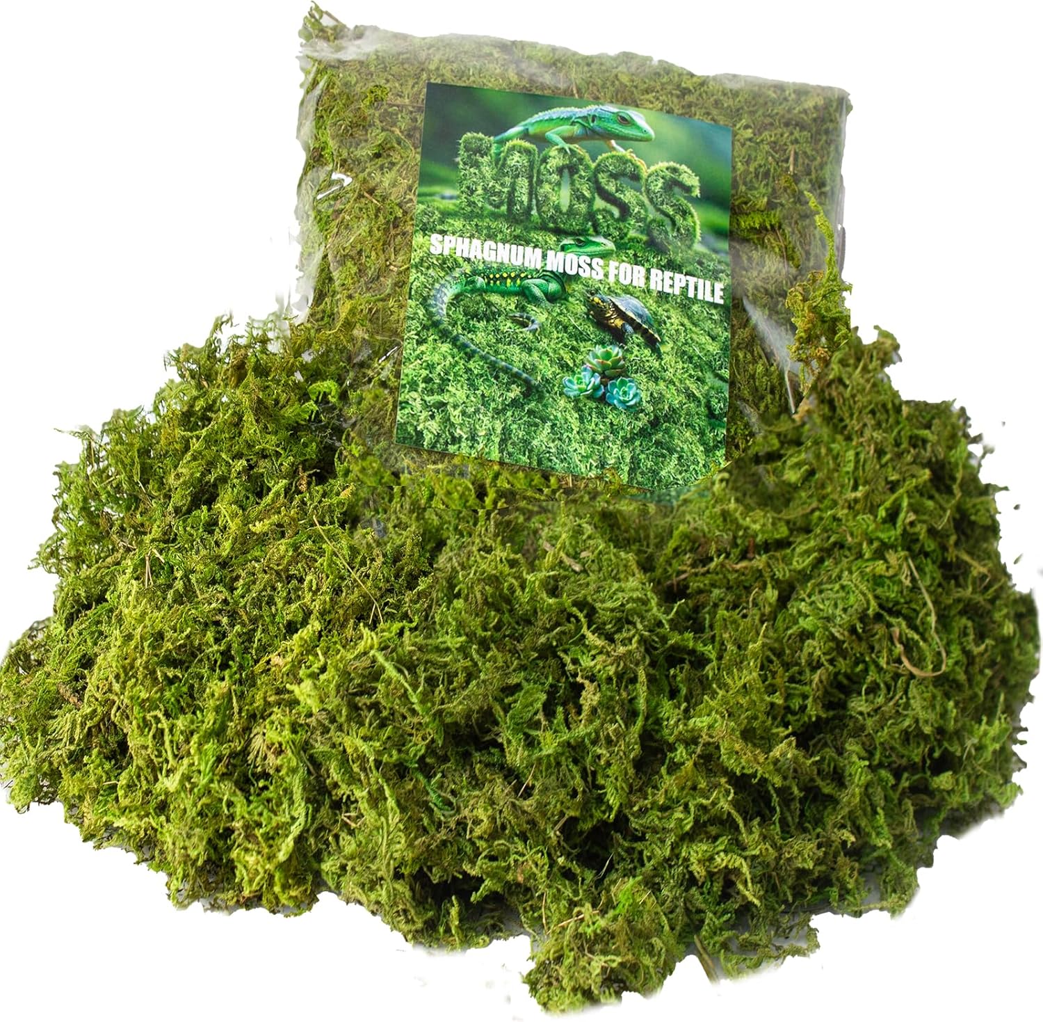 Sphagnum Moss for Reptile Terrarium, Substrate Green Dried Moss for Potted Plants Artificial Fake Moss Decor(5.5OZ)