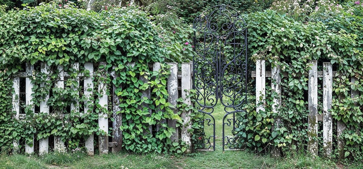Sabrikas Let Your Creative Spirit Run Free Black Secret Garden Natural Picket Fence Foliage Hd Garden Mural Tapestries Outdoor Curtain Banner Privacy Screen Wall Hanging 3D Tapestry Backdrop Display W157.48 Inches X H70.87 Inches