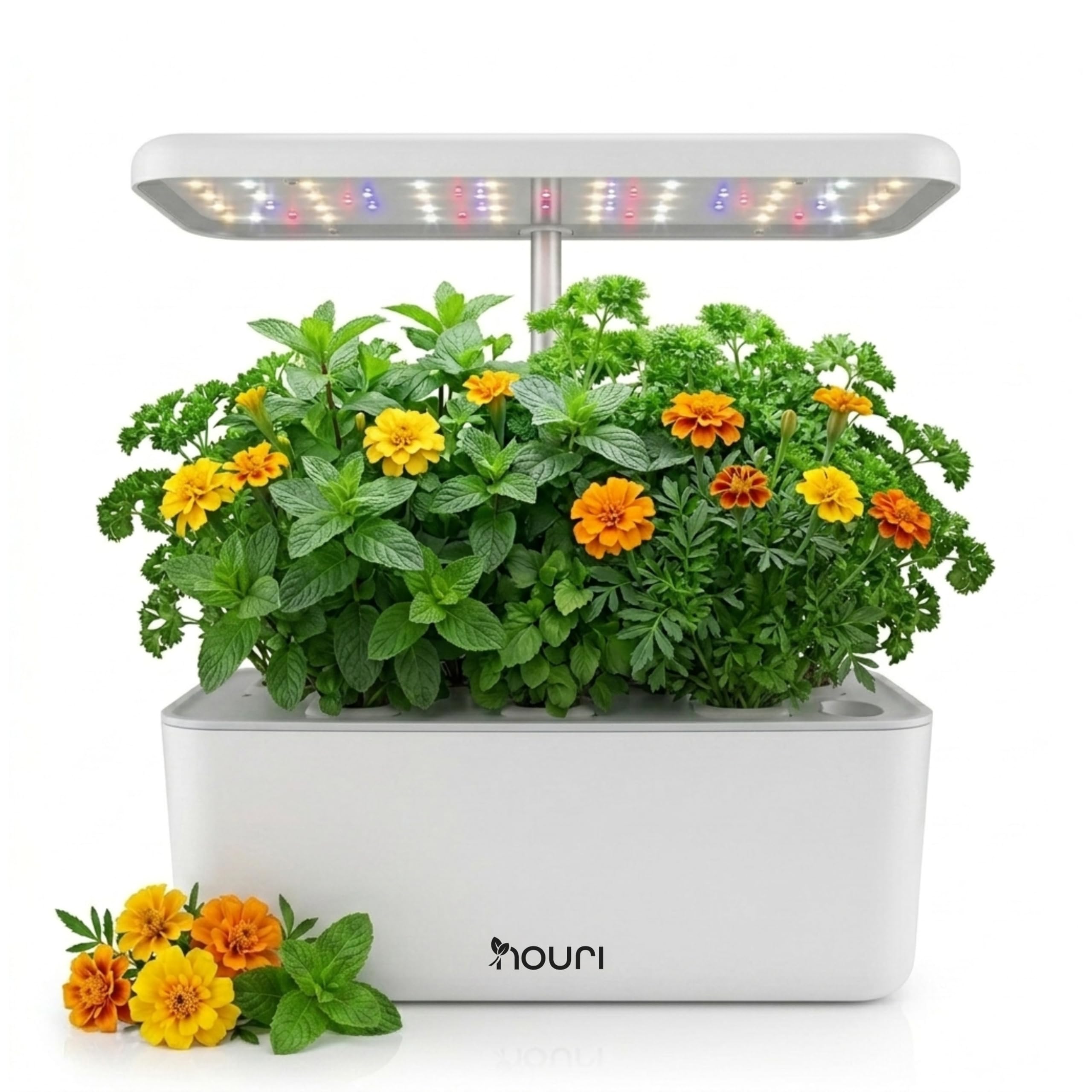 Nouri Hydroponics Growing System, 7 pod Smart Indoor Herb Garden Kit with LED Grow Lights, Hydroponic Herb Garden Indoor for Plant Lovers, Gardeners, Kitchen, Tomato Seeds Included
