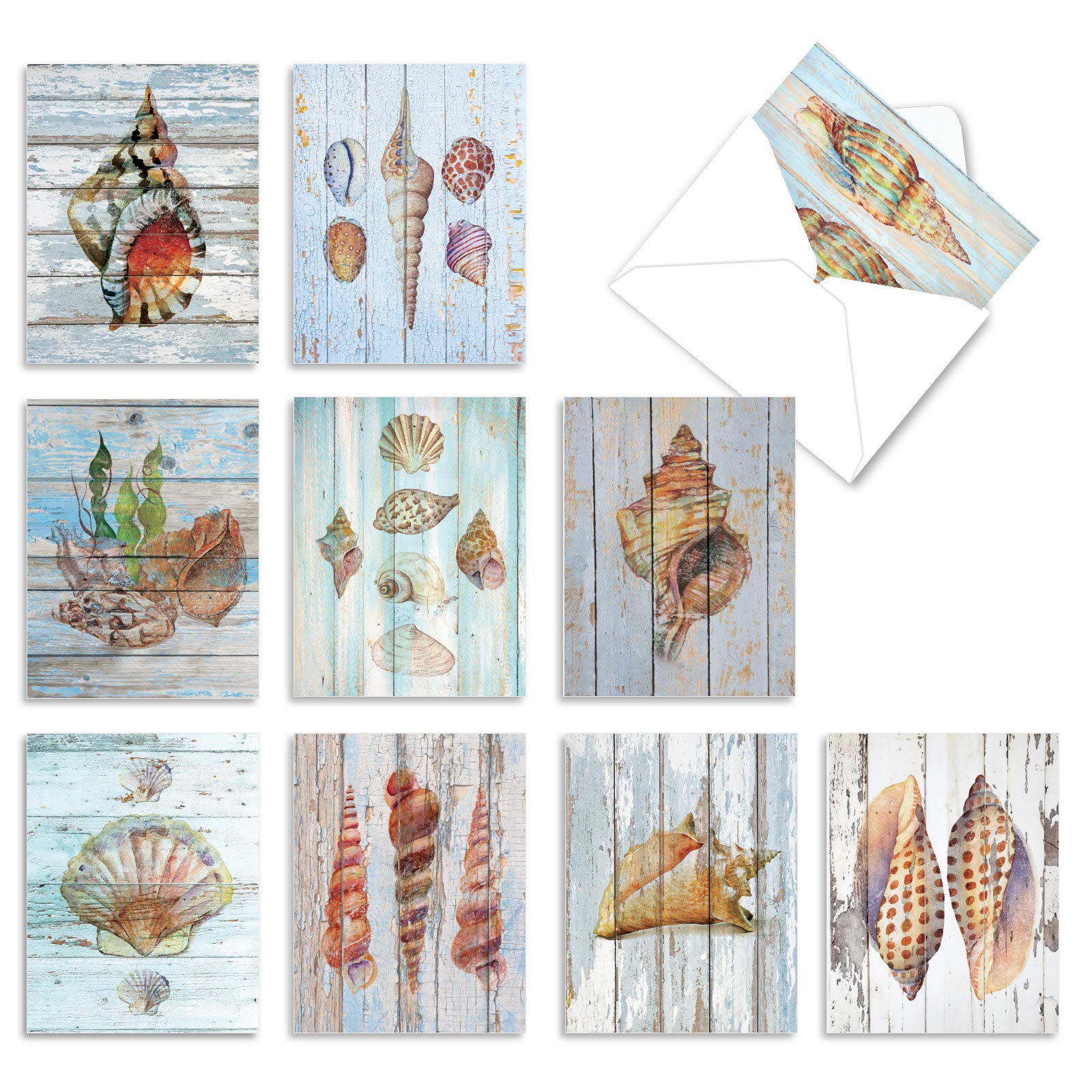 The Best Card Company10 Blank Note Cards with Envelopes (4 x 5.12 Inch) - Bulk All Occasion Cards Boxed - Seashell Driftwood AM6118OCB-B1x10