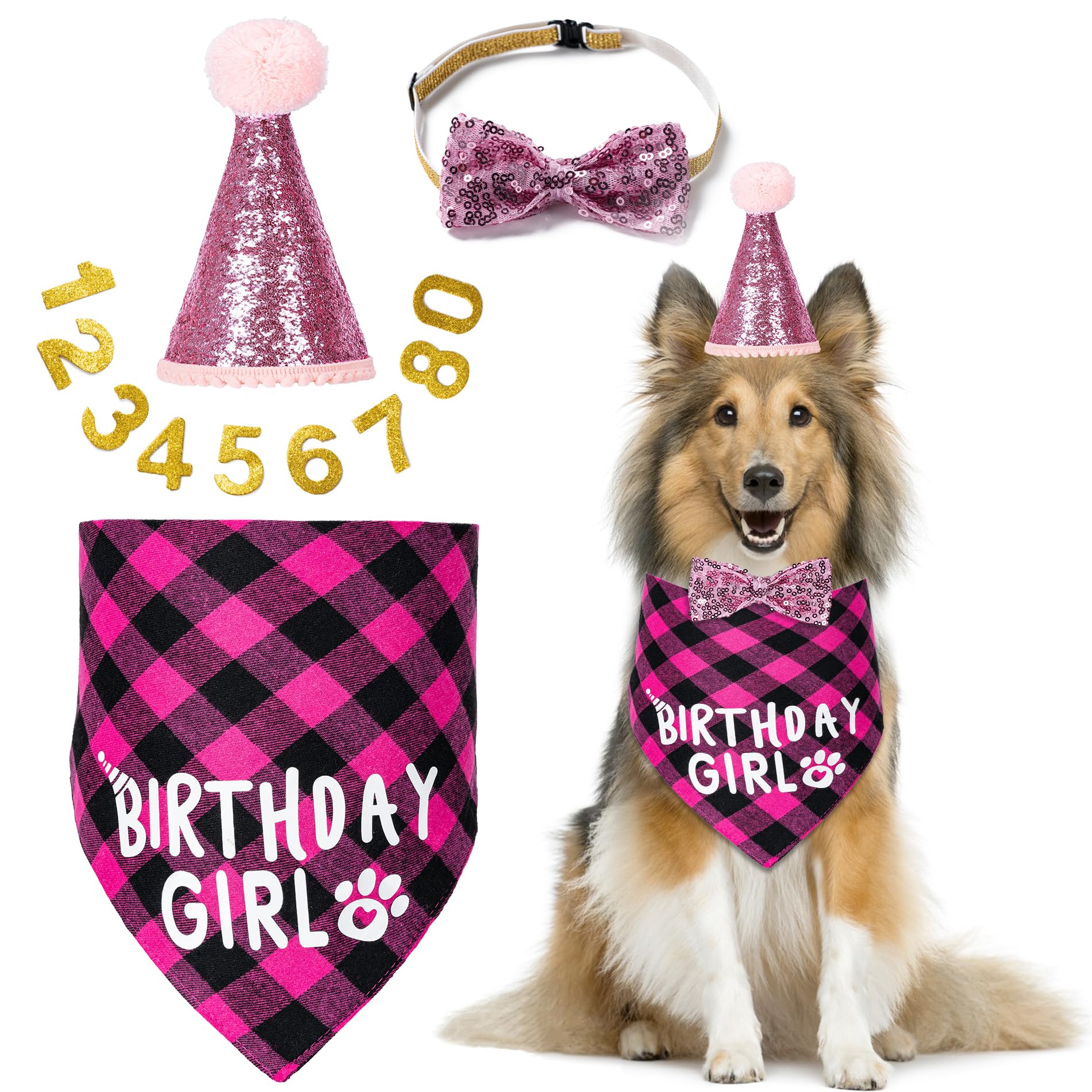 Hoewina Dog Birthday Party Supplies, Dog Birthday Decorations