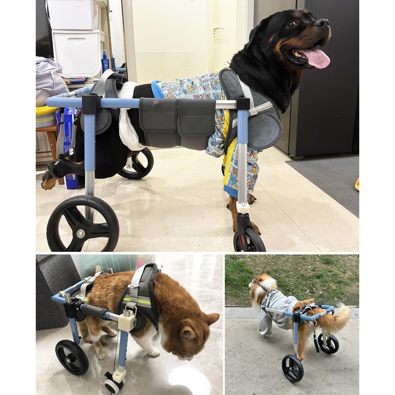 Hunderollstuhl Mit 4 Rädern, Verstellbare Mobilitätshilfe Für Vorder- Und Hinterbeine, Für Alle Hunderassen – Laufband Mit Vollständiger Unterstützung Für Hunde, Für Behinderte(XL)