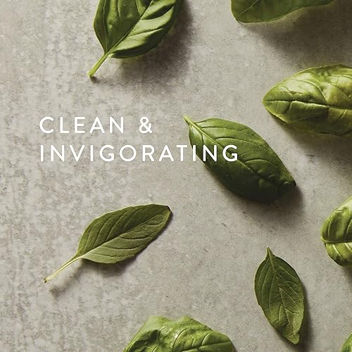 Miniatura 2 de Thymes Difusor de varillas Petite - 4 onzas líquidas - Albahaca recién cortada