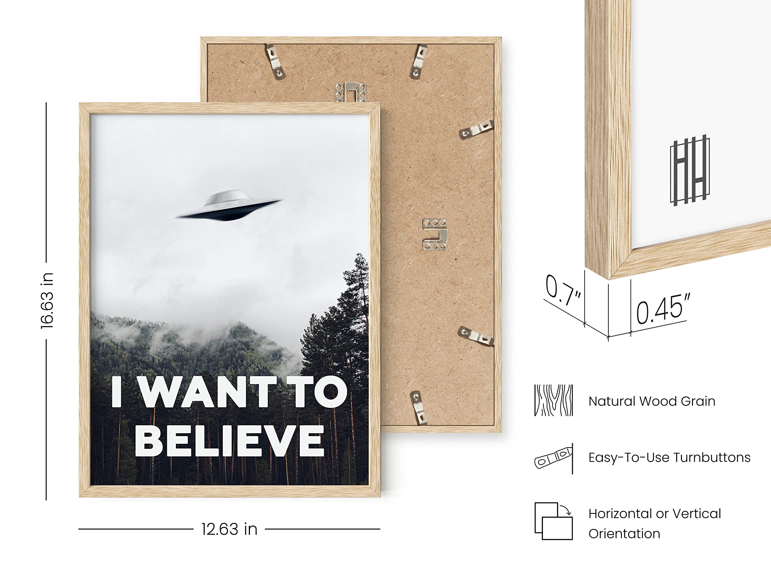 Amazon.com: HAUS AND HUES The X Files I Want To Believe Poster