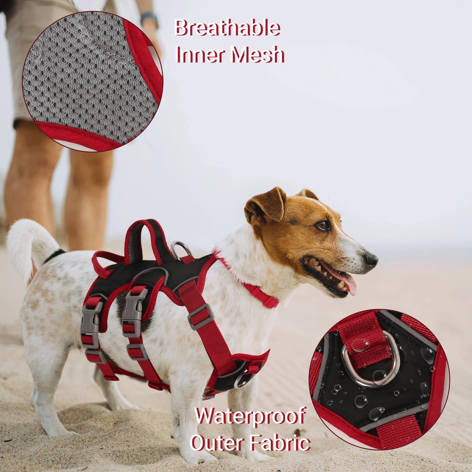 Harnais Anti Traction pour Chien - Arnet Réfléchissant Reglable Harnet en Y Harnais Canicross Chien pour Chiot Petit et Moyen Chiens, Noir + Anneau de Poitrine, L