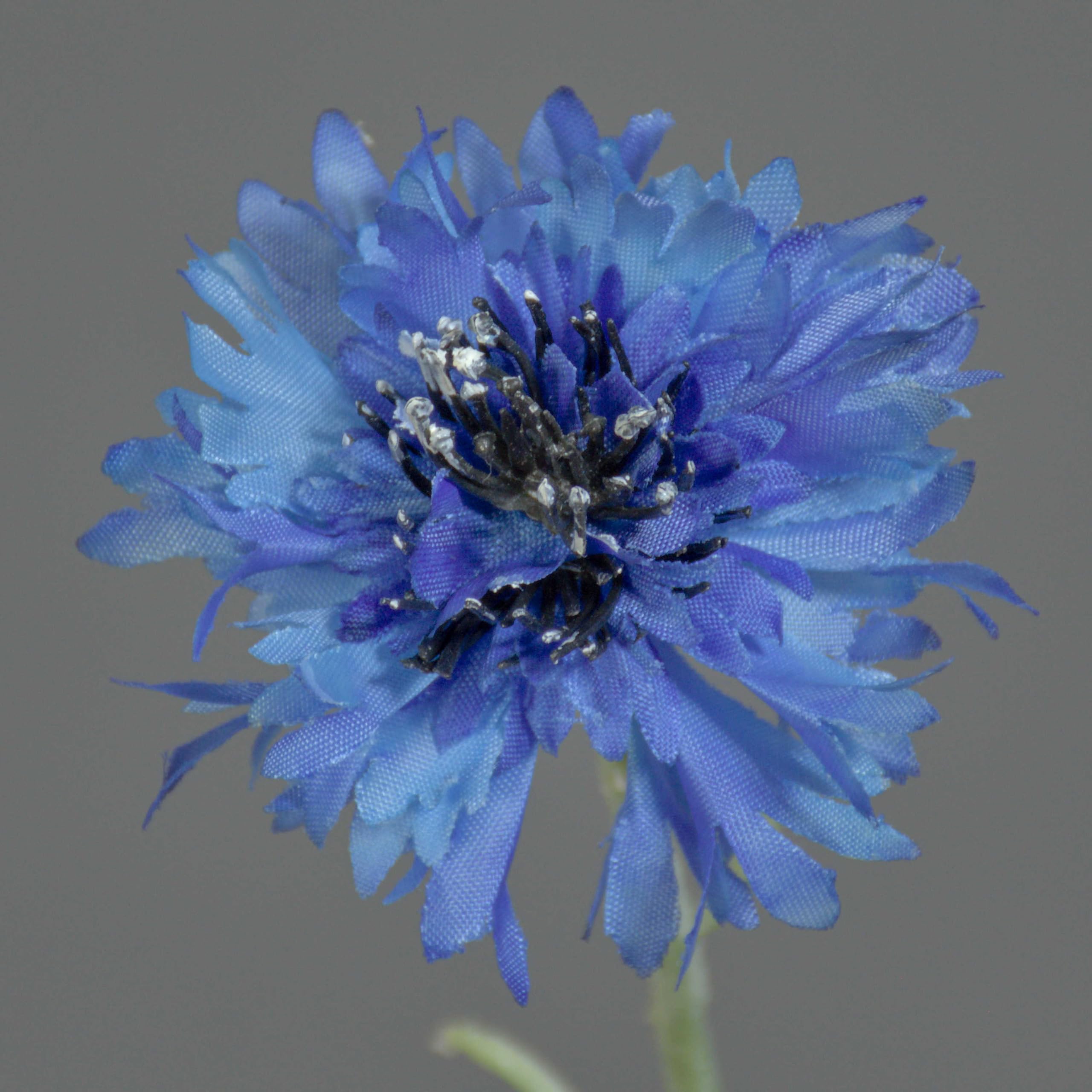 artplants.de Deko Zweig Kornblume Kelsie, blau, 70cm, Ø 4cm - Künstliche Kornblume