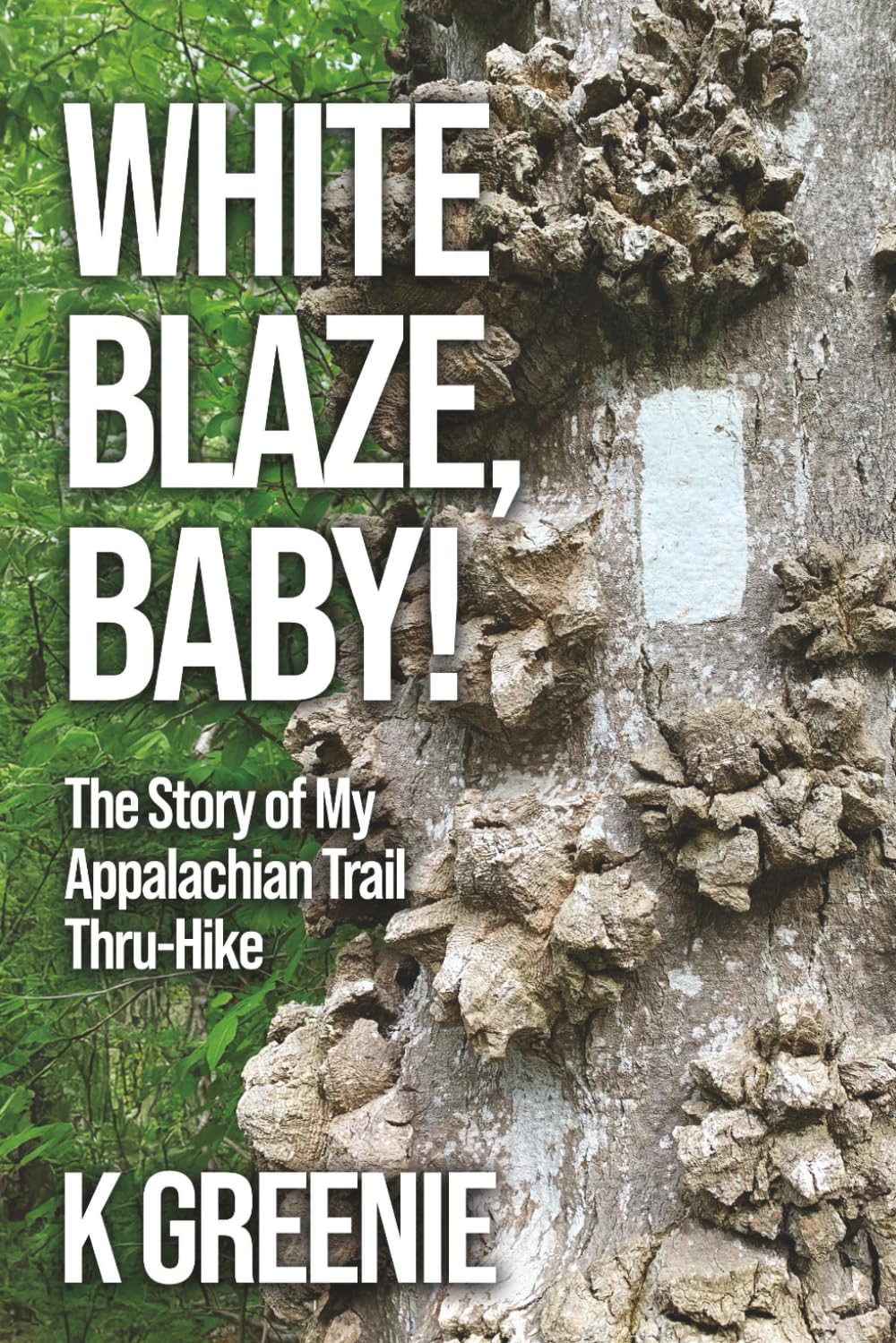 White Blaze, Baby!: The Story of My Appalachian Trail Thru-Hike