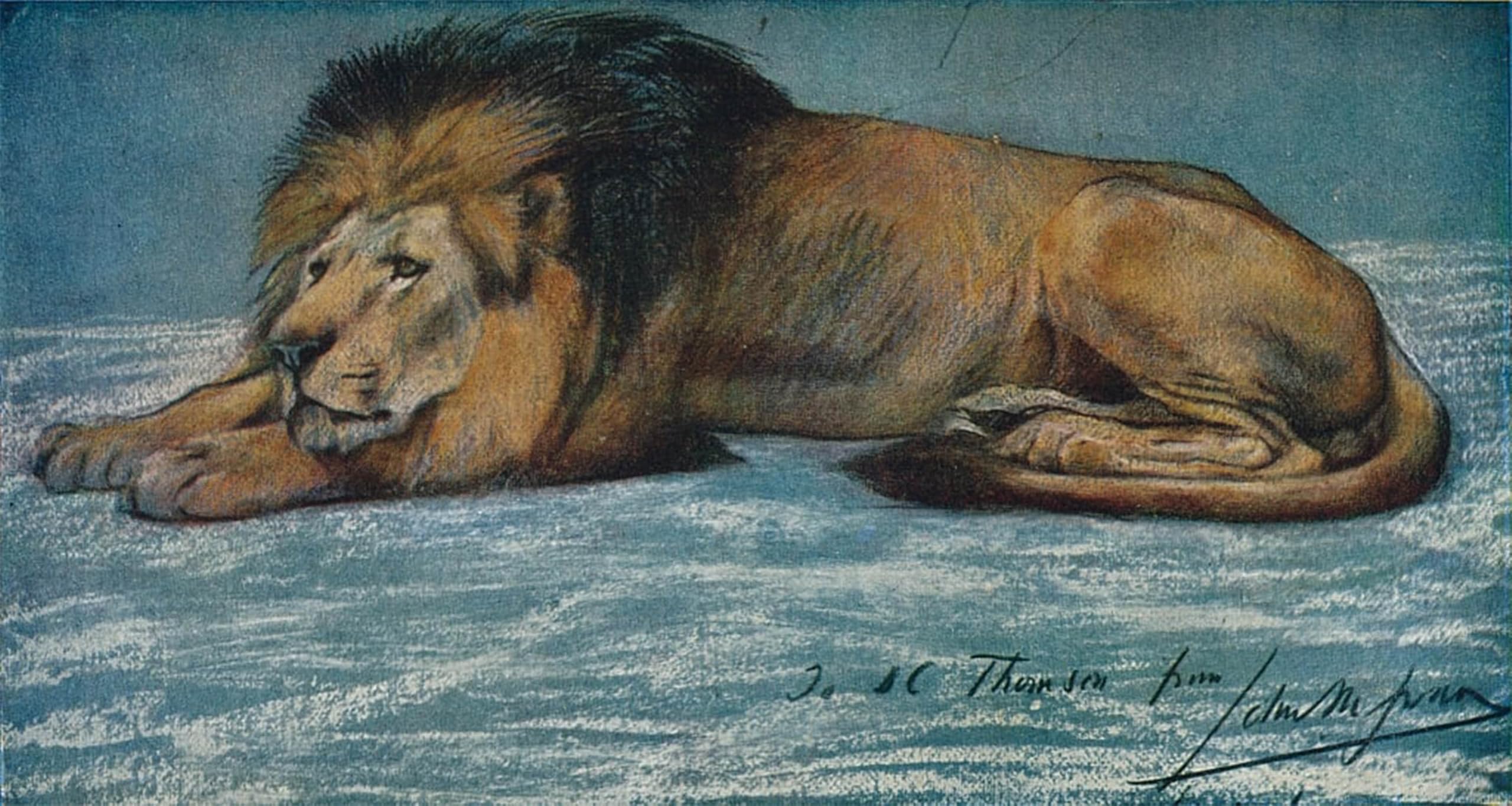 ARTXLXXBN Famous Painting Canvas Artwork Graffiti Print a Lion by es Swan Portrait Canvas Image for Home Decor 60x90cm