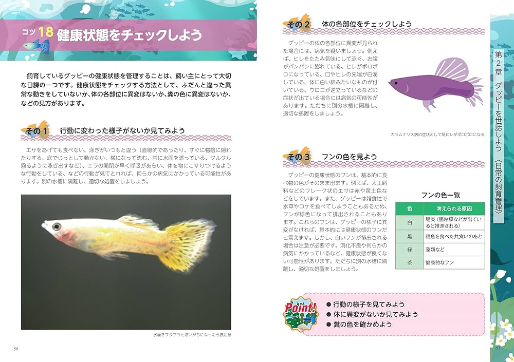 グッピー年鑑　GUPPY BASE-BOOK VOL.1 & 2 616EzvQZV4L._UF350,350_QL50_.jpg