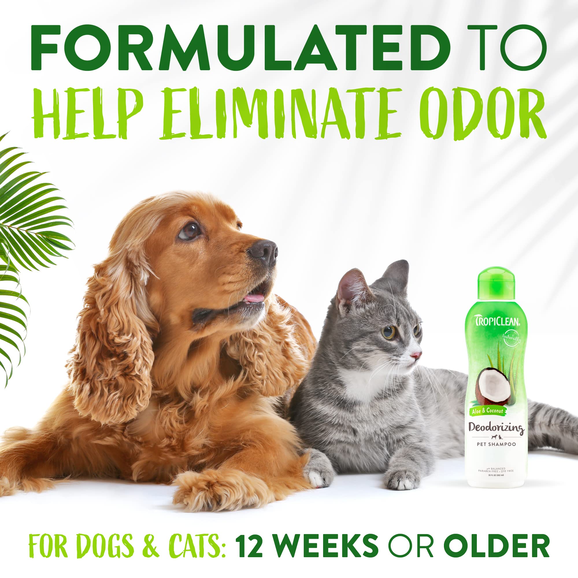 Aloe & Coconut Deodorizing Dog Shampoo For Smelly Dogs Odor Control Shampoo For