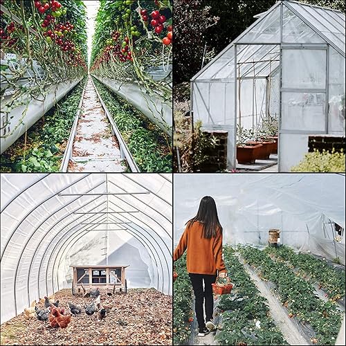 Miniatura 39 de VEVOR Lámina de plástico para invernaderos de 8 x 25 pies, película de polietileno transparente resistente a los rayos UV, cubierta de aro verde