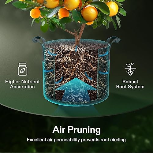 Miniatura 4 de VIVOSUN Paquete de 20 bolsas de cultivo de 7 galones, macetas de tela no tejida gruesa resistente con asas para flores, frutas y verduras, color