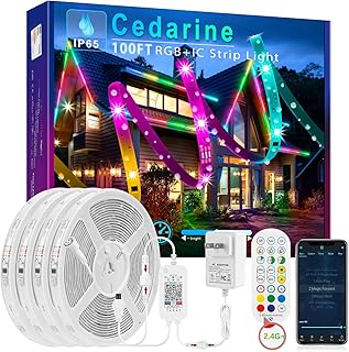 Cedarine 100ft Continuous RGB+IC Outdoor Led Strip Lights Waterproof with RF Remote & Bluetooth Music Sync App Control, Long Color Changing LED Rope Lights, Super Bright Outside Led Lights, IP65,24V