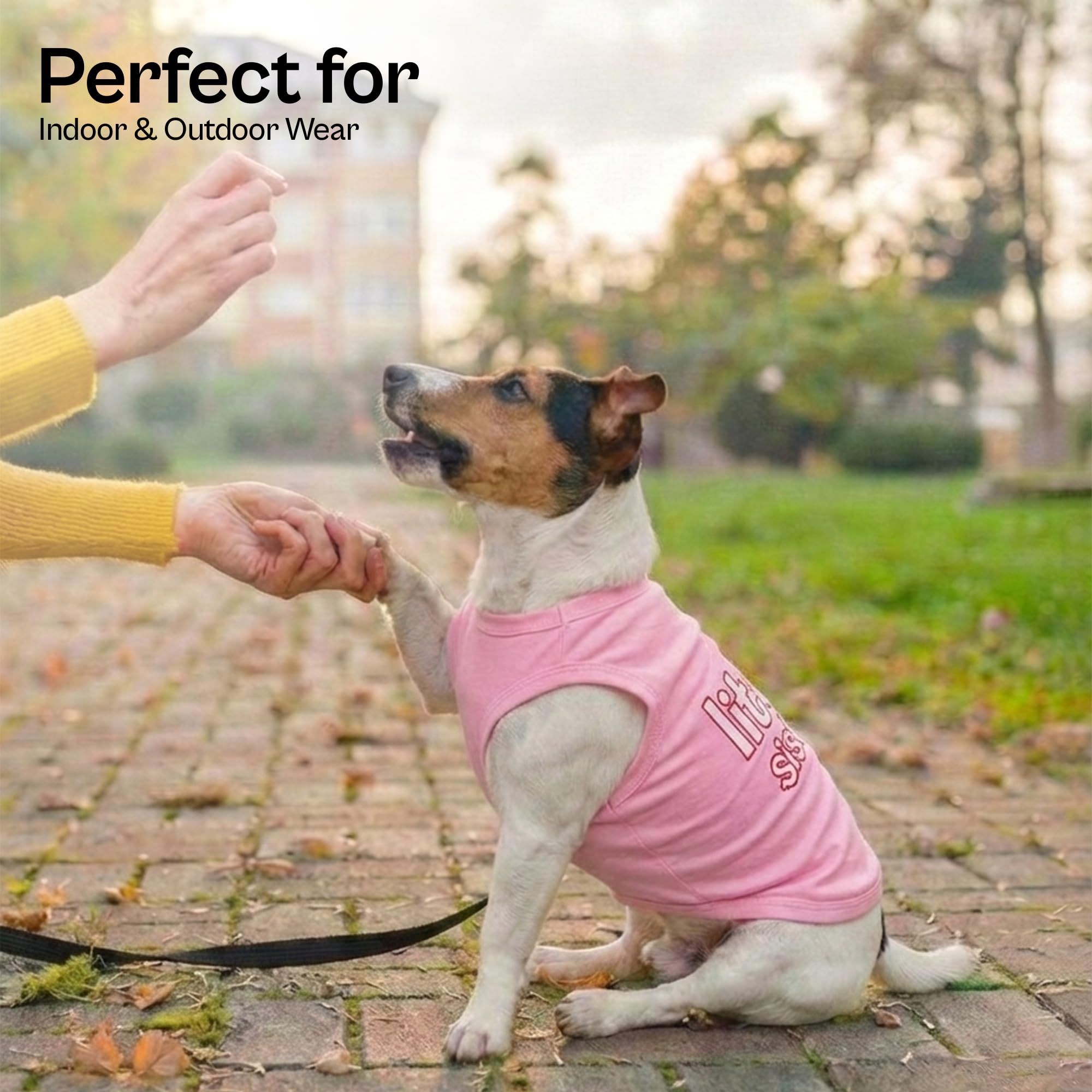 parigino Pet Dog Cat vestiti camicie ragazzo della mamma, papà maglietta da ragazza, Big Brother, Big Sister, Little Brother, Little Sister, i Love Mommy, i Love Daddy, XXS