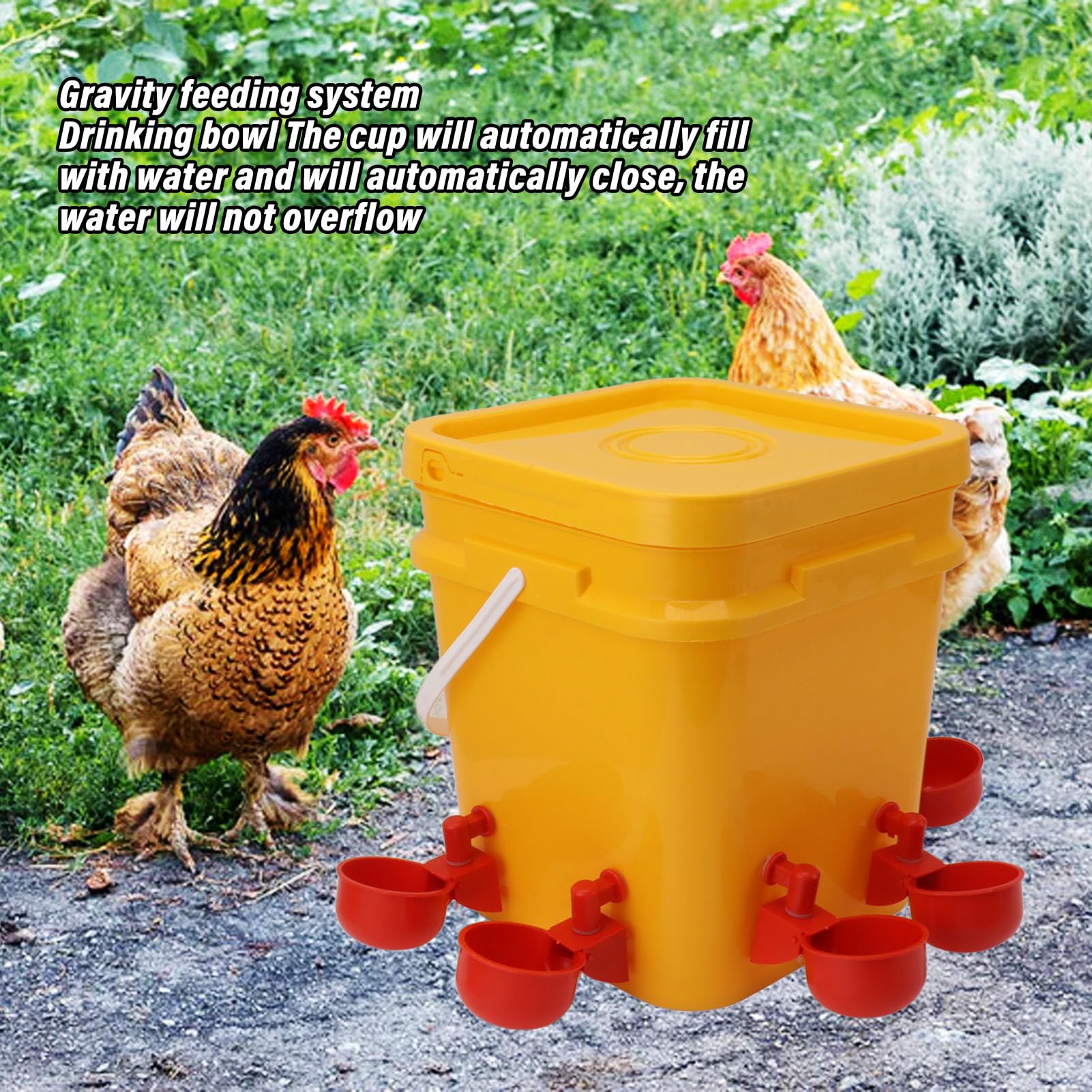Bebedero Automático para Pollos, Equipo para Beber, Bebedero para Aves de Corral, Ganso, Pato, Barril, Taza para Cría de Pollos, Bebederos (Cubo + Tazón Azul Grande + Tornillos
