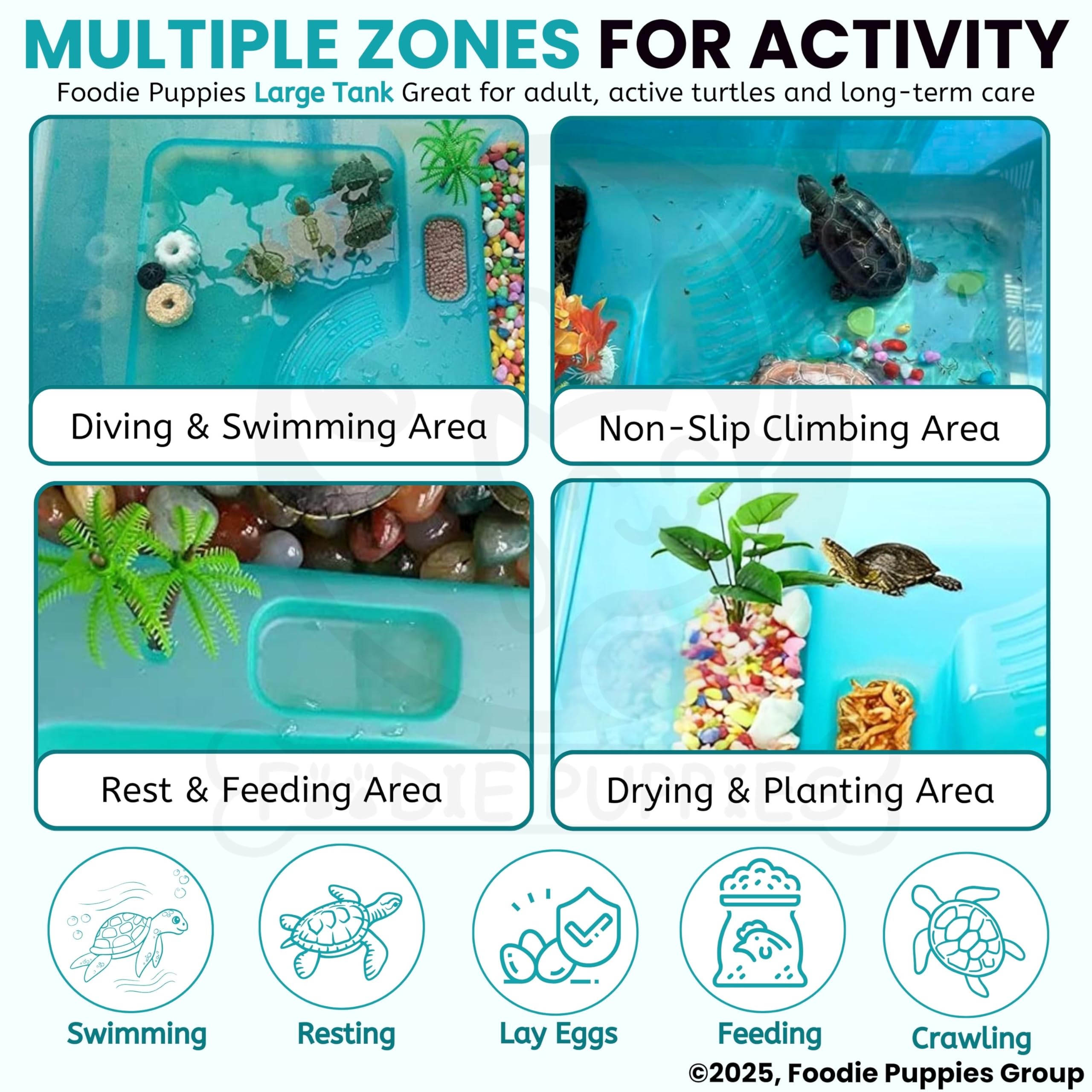 Foodie Puppies Rectangle Turtle Tank Aquarium (Large - 2 FT/24 In Length) with Lid, Ramp | Basking Platform for Turtle Habitat, Reptile Breeding, Safe & Durable with Escape Prevention (No Accessories) 3