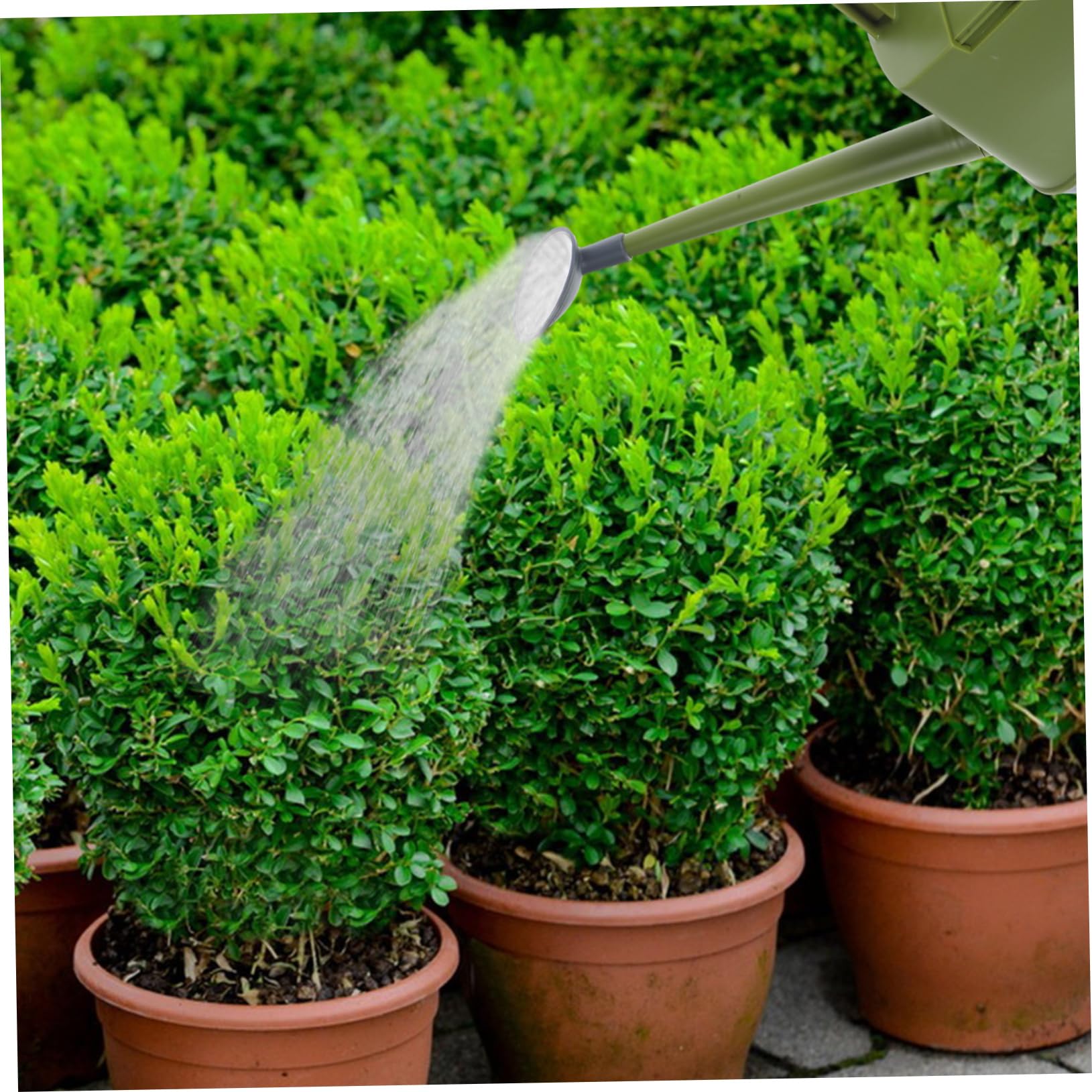 Annaffiatoio 4l in Pp Verde Maneggevole, da Giardino per Piante