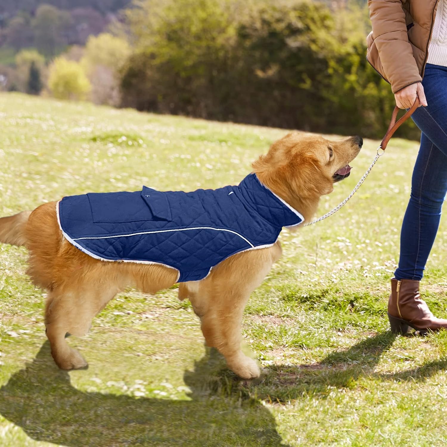 Malier Dog Winter Coat, Windproof Dog Cold Weather Coats with Real Pocket, Winter Extra Warm Pet Coat Fleece Jacket Reflective Clothes for Small Medium Large Dogs and Puppy (Green, X-Small)