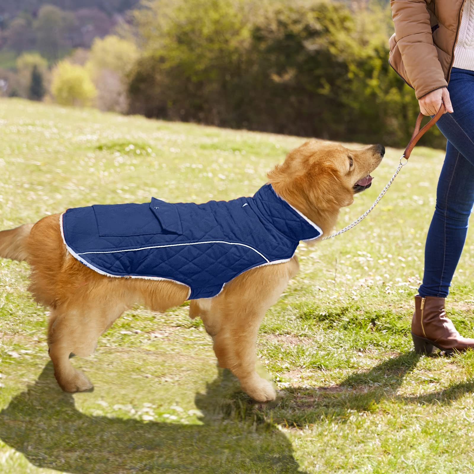 Malier Hunde-Wintermantel, Winddichter Hund Kaltwettermäntel mit echter Tasche, mittelgroße und große Hunde und Welpen (XXX-Large, Blau)