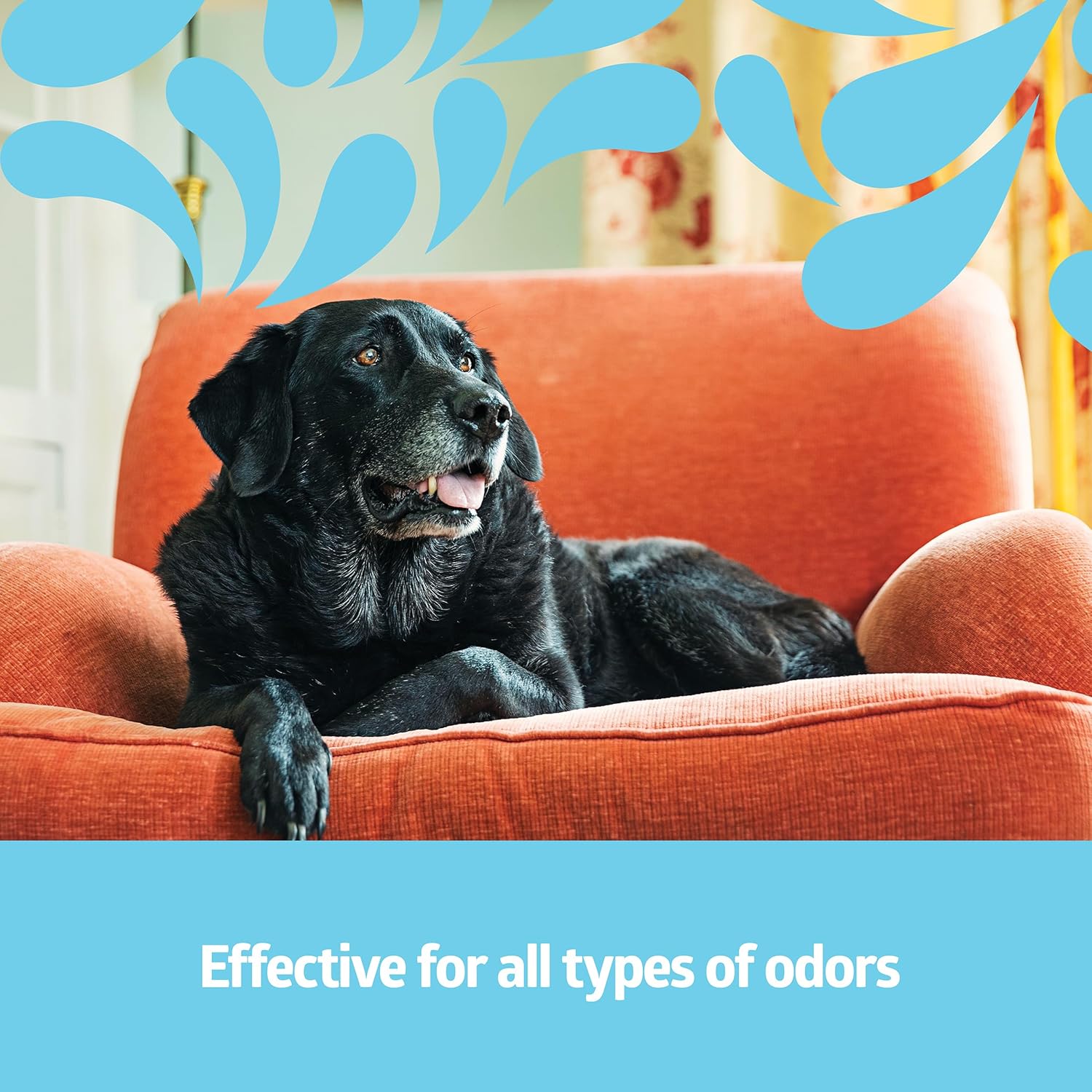 Medline Simply Fresh Odor Eliminator 8 Oz Spray, Lightly Scented, Pump Bottle, Convenient Odor Neutralizer, Bathroom, Home, Pets, Healthcare, Pack of 12