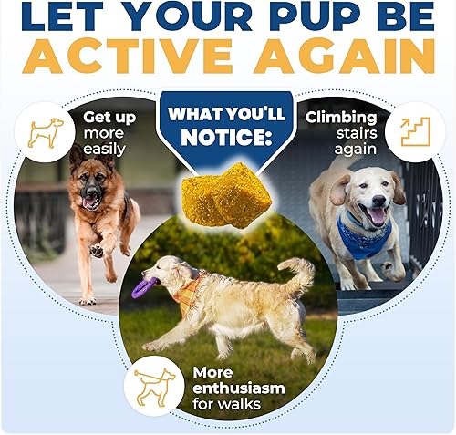 Miniatura 4 de Jope Masticables para perros de cadera y articulaciones con colágeno UC-II, más eficaz que la glucosamina, desarrollado por veterinarios,