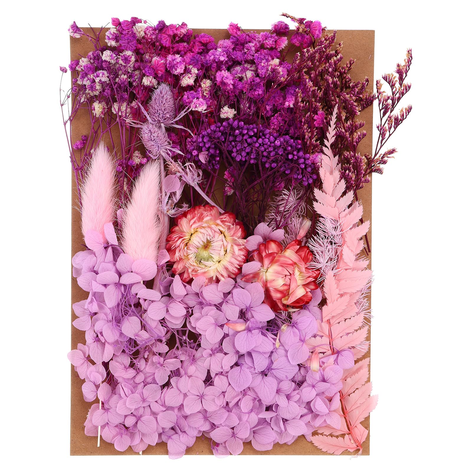 PATIKIL Pressed Flowers for Craft Bulk Dried Flowers Natural Pressed Flowers Leaves for Resin Soap Candle Scrapbooking DIY Gift Papermaking