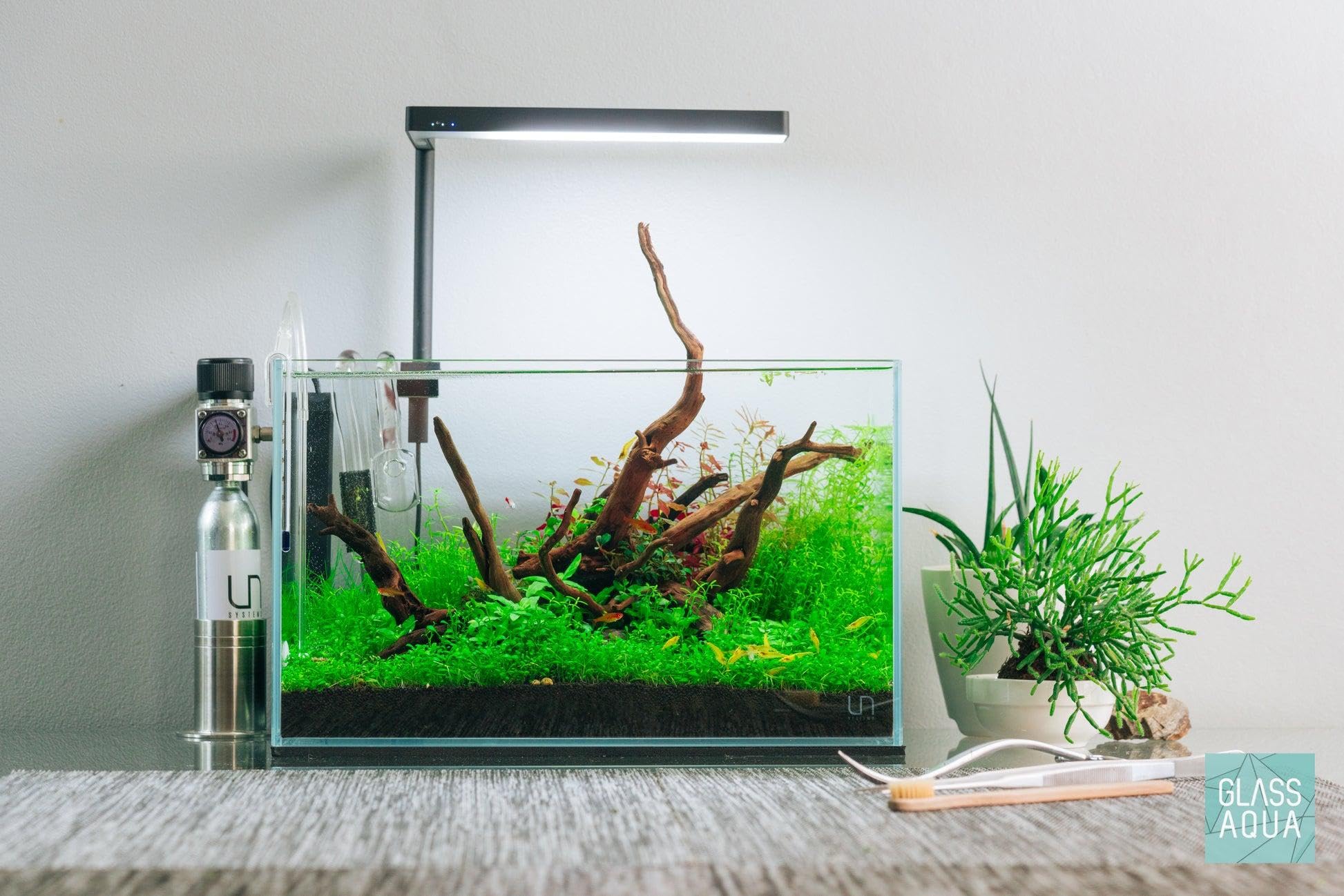 Amazon | AHR 水槽 超白ガラス 50CM W50×D27×H30 リムレス