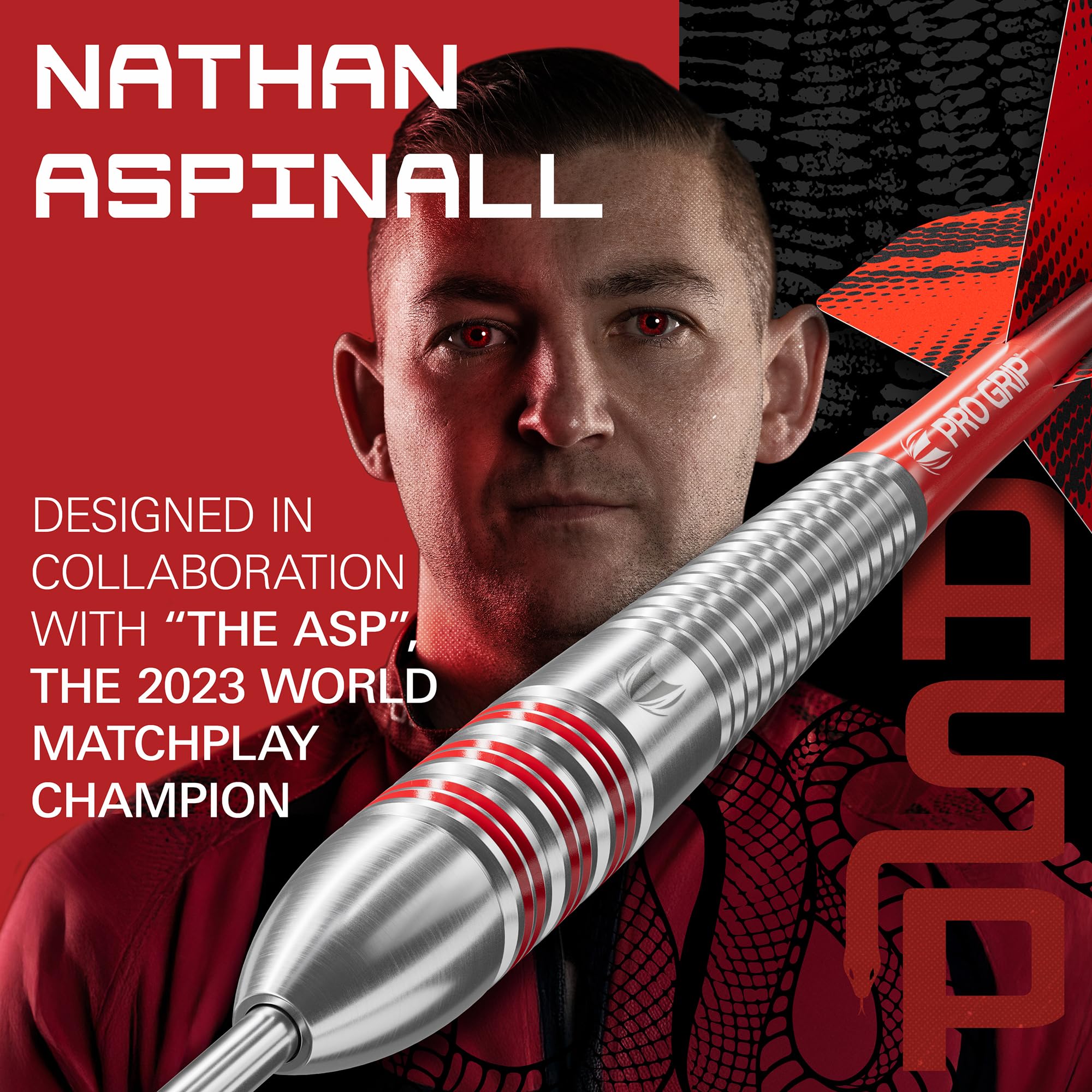 Amazon.com : Target Darts Nathan Aspinall Brass Steel Tip Dart Set