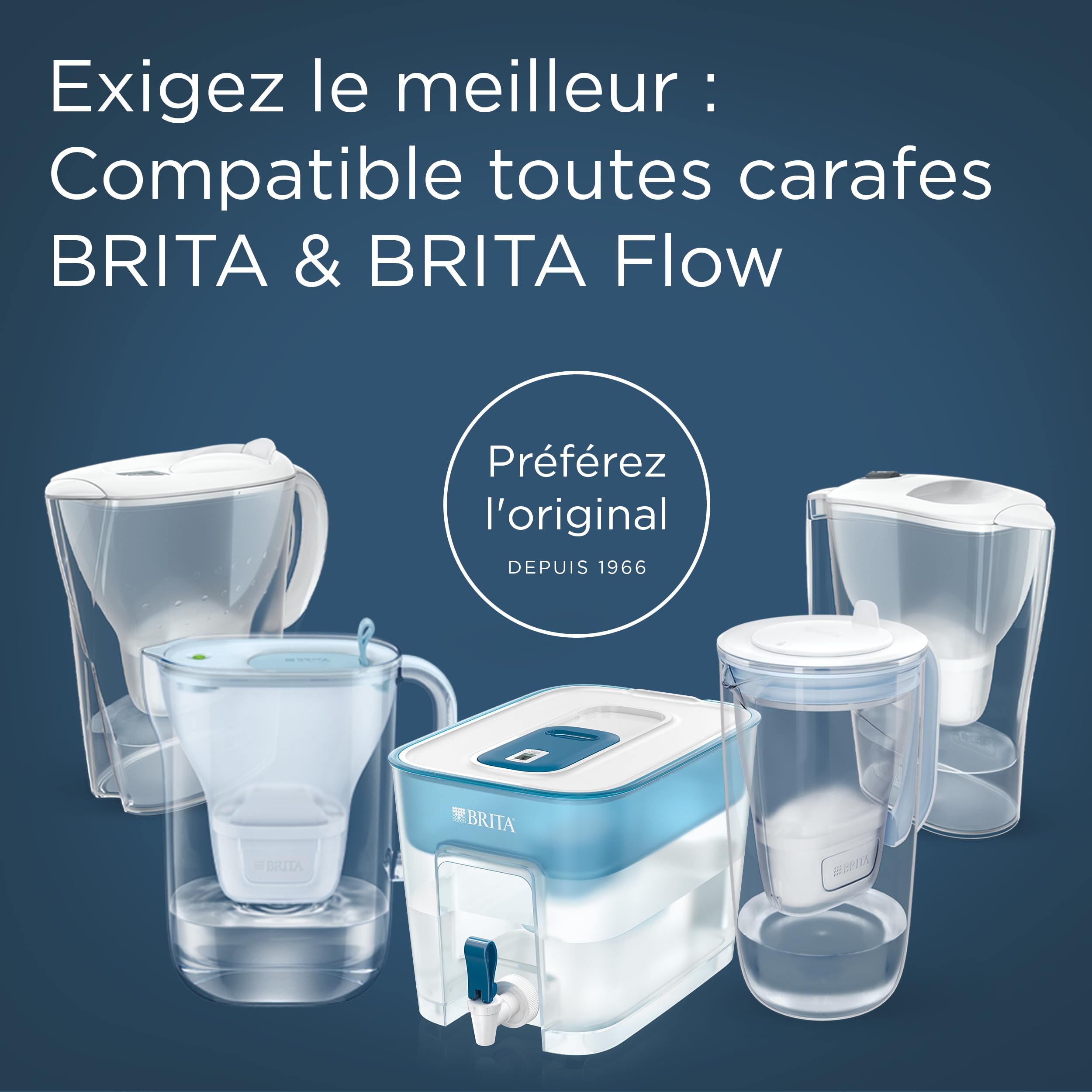 Filtro per acqua BRITA MAXTRA PRO Limescale Expert pacchetto semestrale da 12 filtri - NUOVA GENERAZIONE FILTRI - Ottimo per bevande calde & protezione dal calcare per macchina da caffè e bollitori