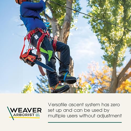 Miniatura 2 de Weaver Arborist Nylon HAAS Velox Ascent System, Regular
