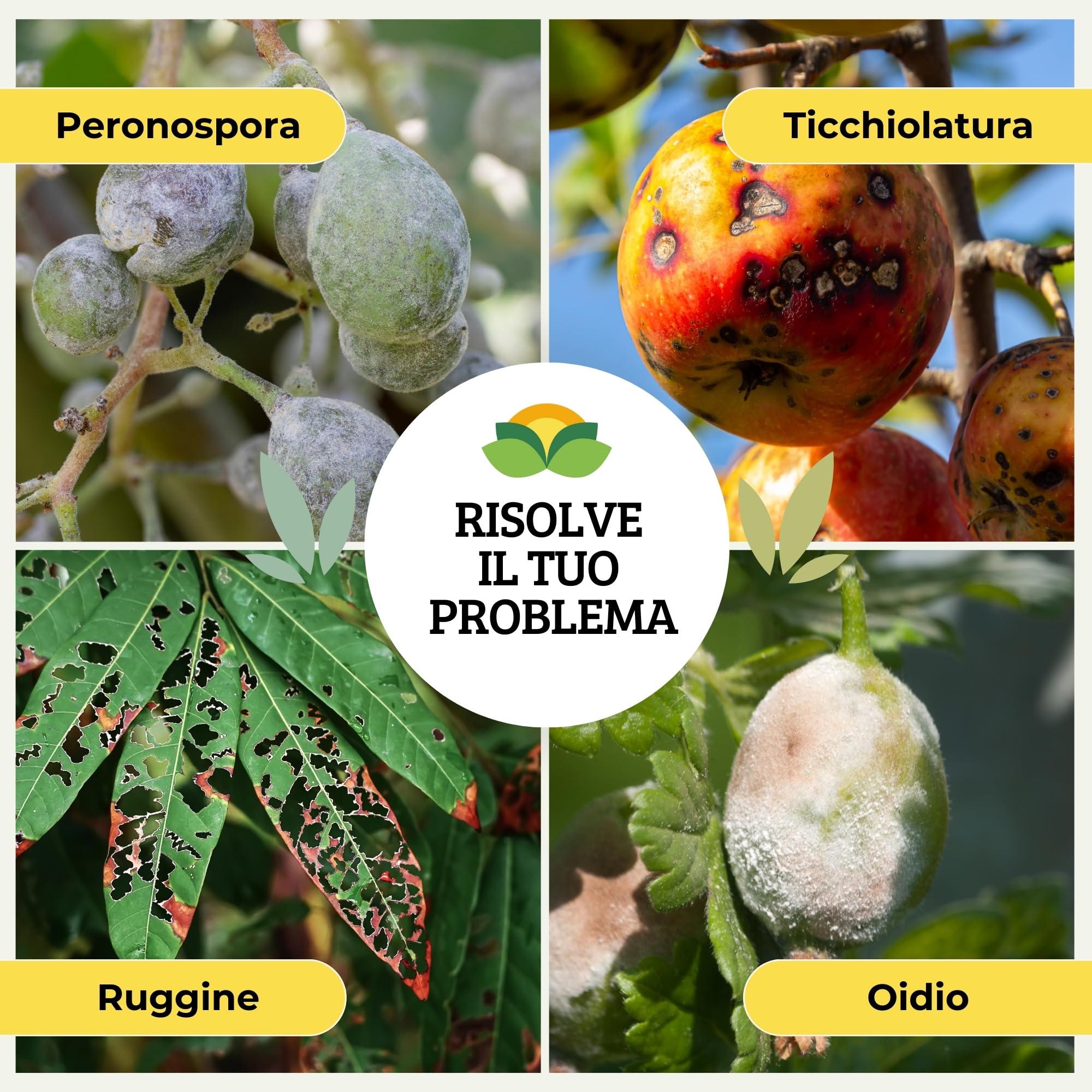 Albagarden - Zeolite per Agricoltura MAXI x 5 KG - Polvere di roccia, Potenziatore delle difese naturali Effetto Insetticida e Fungicida - Zeolite per Piante