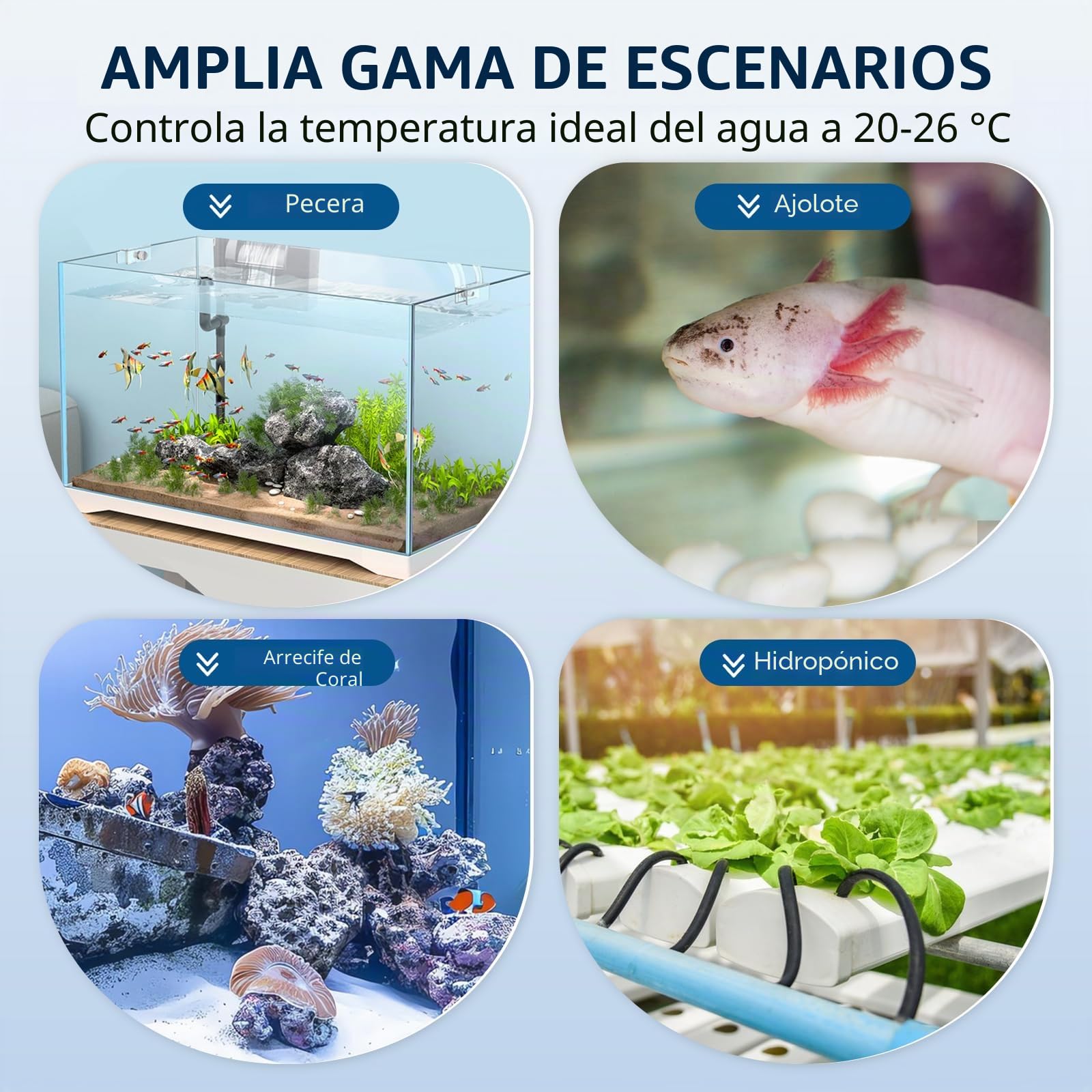 BAOSHISHAN Enfriador de agua para acuarios 20-26°C Enfriador de acuarios con pantalla táctil para pecera de 160 litros