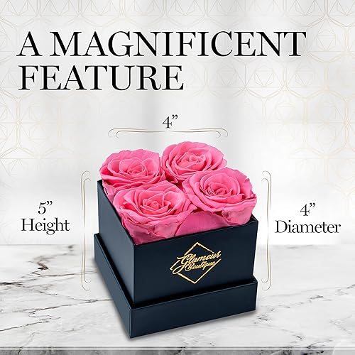 Miniatura 9 de GLAMOUR BOUTIQUE Rosas preservadas en una caja, regalos del día de San Valentín para ella y mamá, decoración de 4 rosas para regalo de cumpleaños,