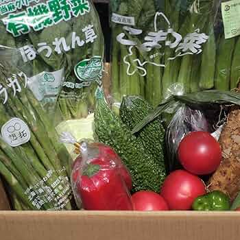 農業関連本　まとめ売り　13冊セット Amazon.co.jp: むつみ屋 旬の野菜セット 13品 化学農薬・化学