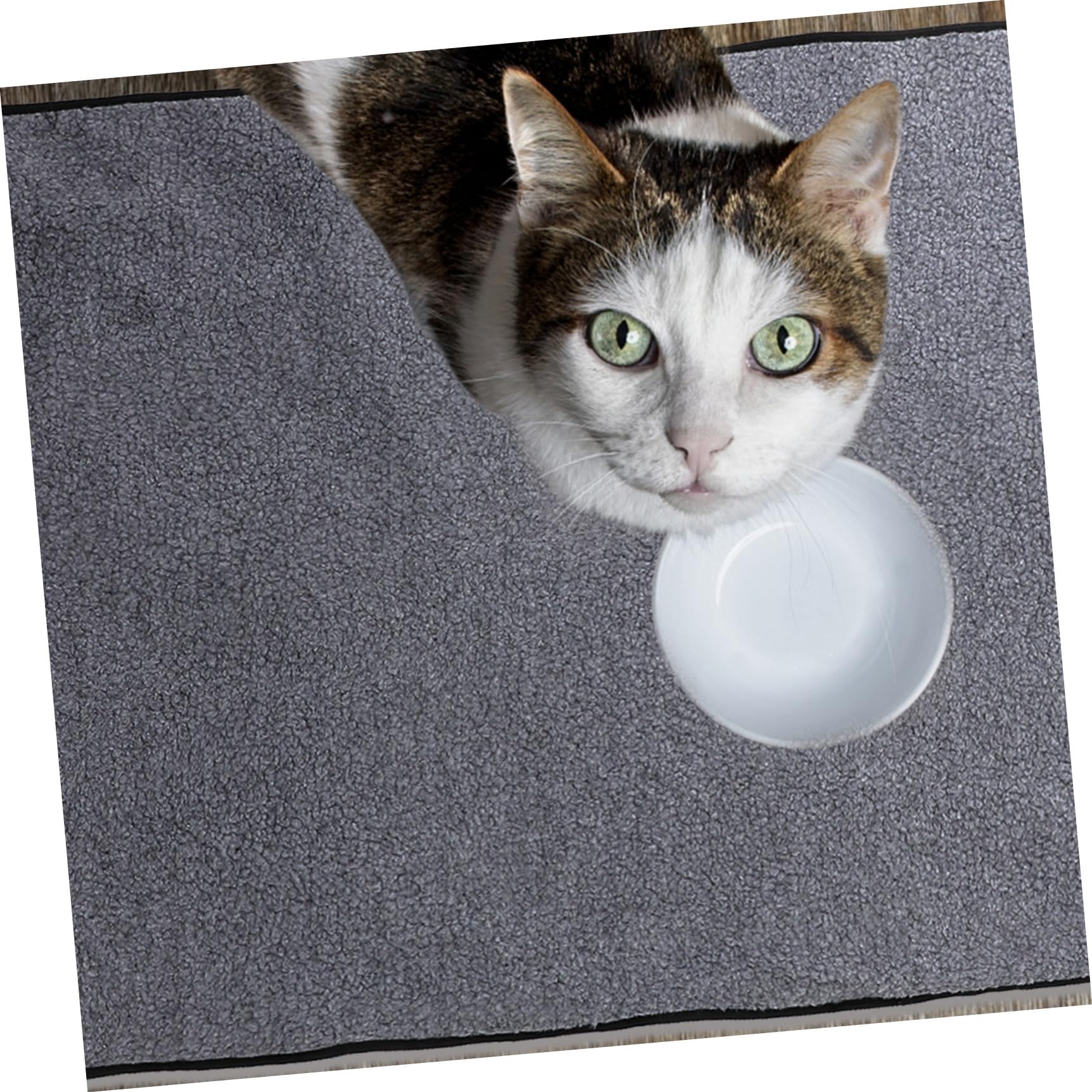 Veemoon Manta Térmica Plegable para Mascotas, Lana Negra, Rectangular