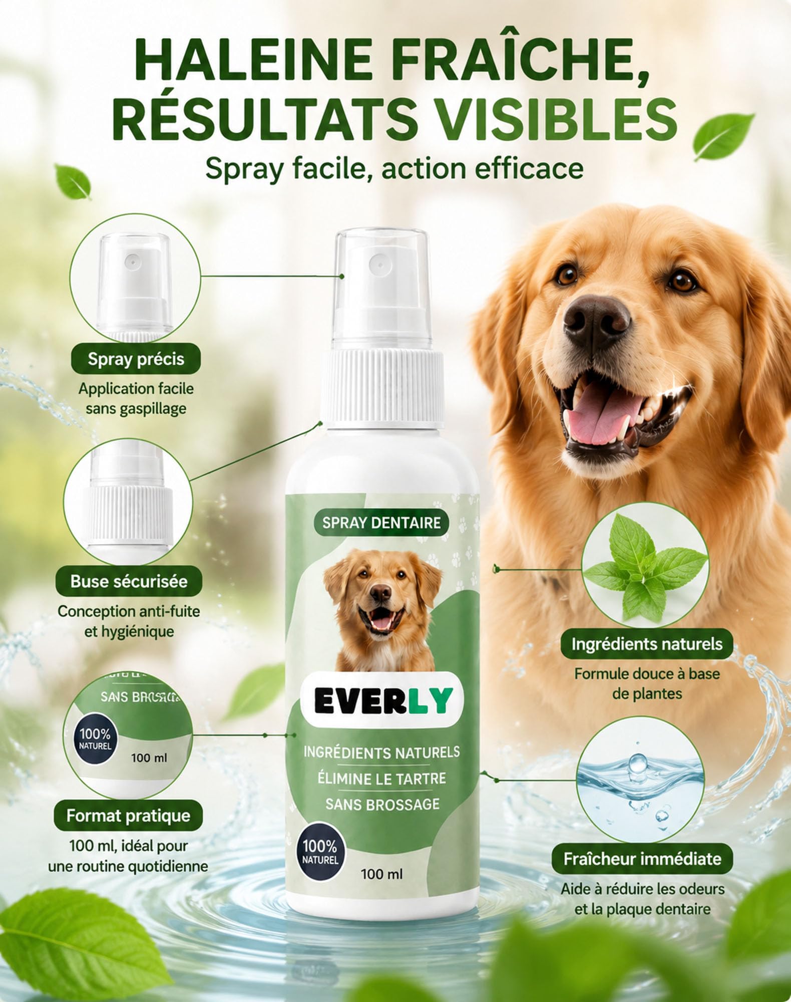 The Everly Spray Dentaire Chien, Antitartre Sans Brossage (300ML)